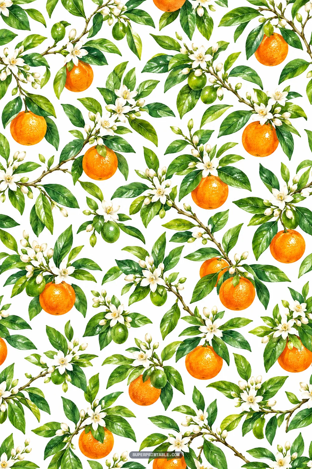 Botanical grove branches with hanging ripe oranges, unripe green citrus, and blooming flowers on white paper