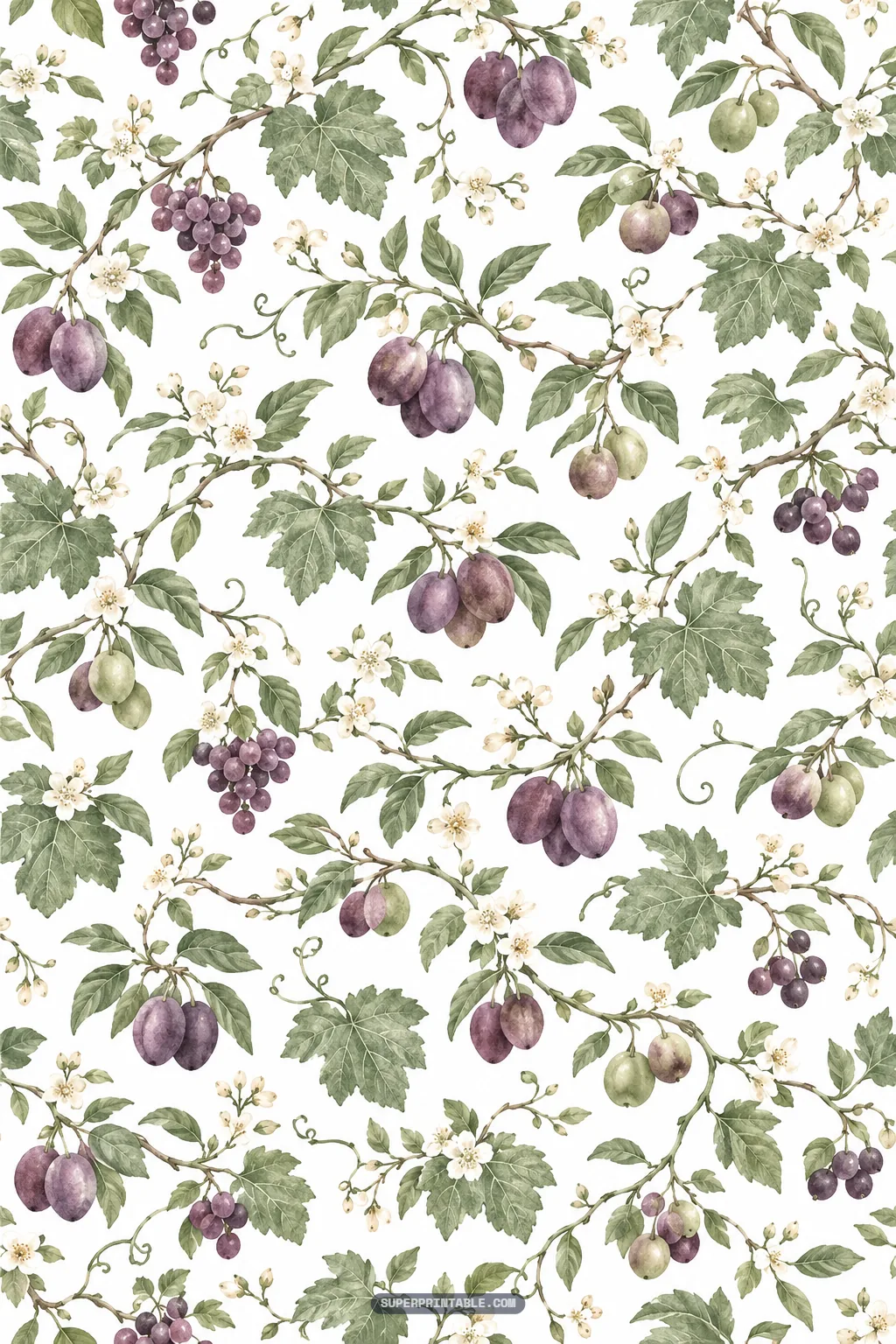 Grape vineyard digital paper showing winding vineyard branches adorned with grapes, plums, and blossoms.