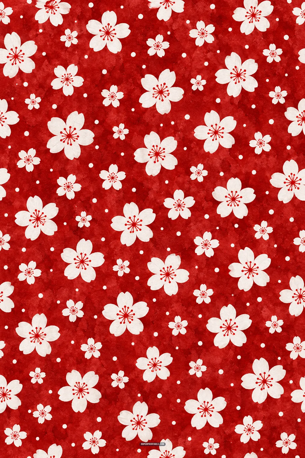 White five-petal cherry blossoms and floating dots scattered over a rich textured crimson watercolor background