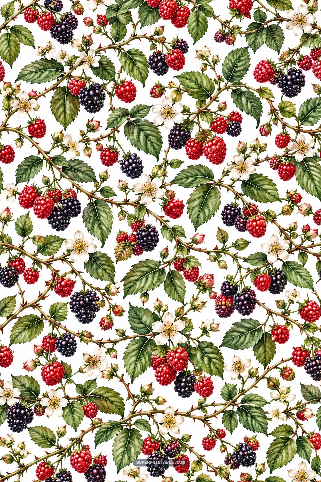 Intricate botanical print of thorny bramble vines, ripe raspberries, and wild blackberries