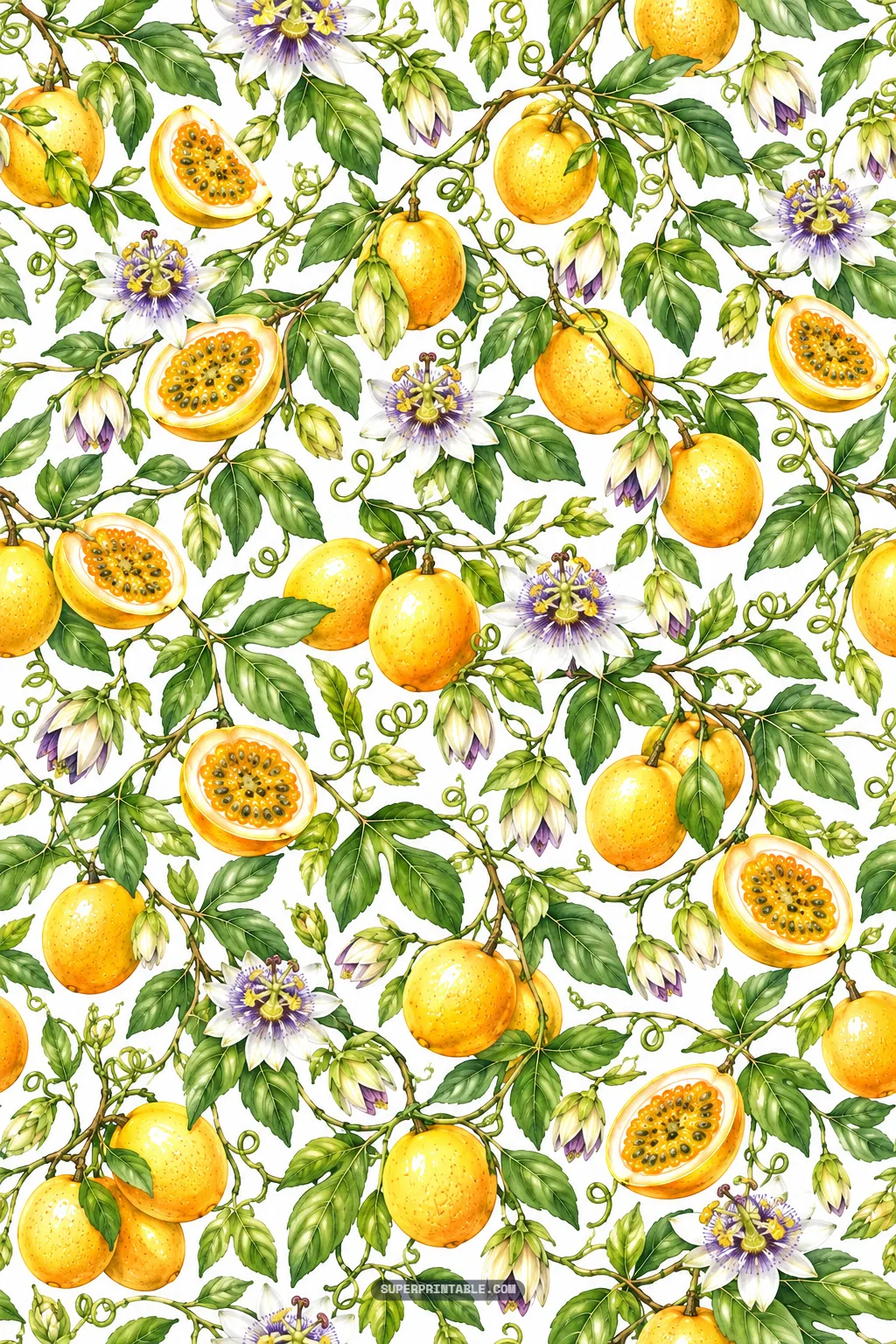 Trailing passionfruit vine branches loaded with golden fruit, flowering purple blossoms, and delicate tendrils.