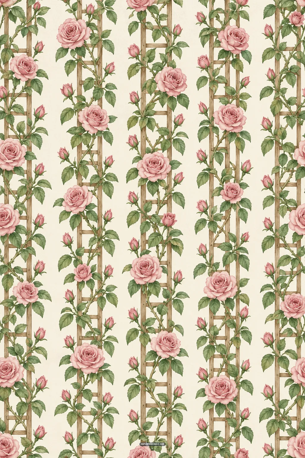 Rustic wooden garden trellises entwined with lush climbing pink roses and leafy vines on cream background