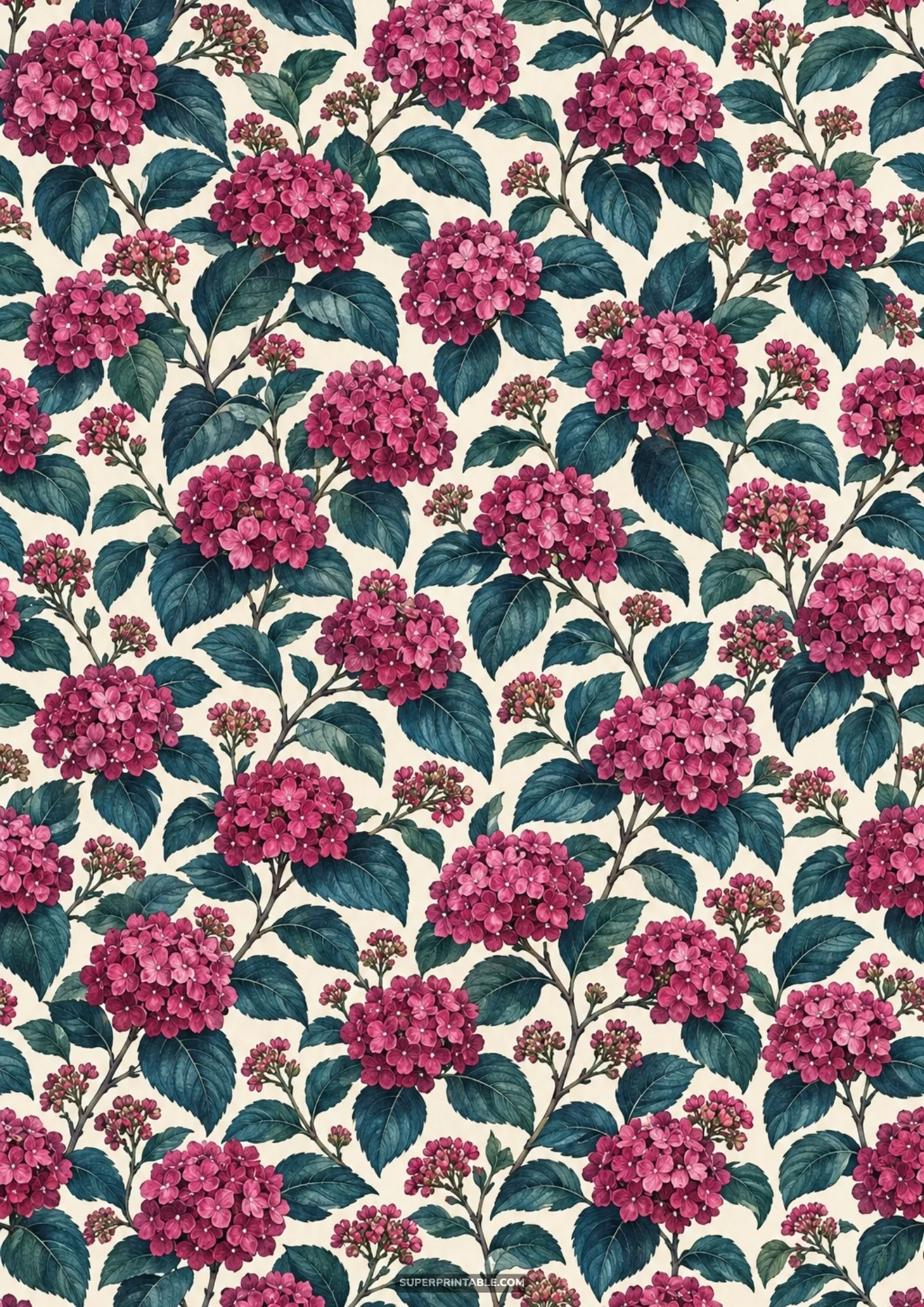 Magenta hydrangea flower clusters with deep teal leaves blooming over an aged antique cream background