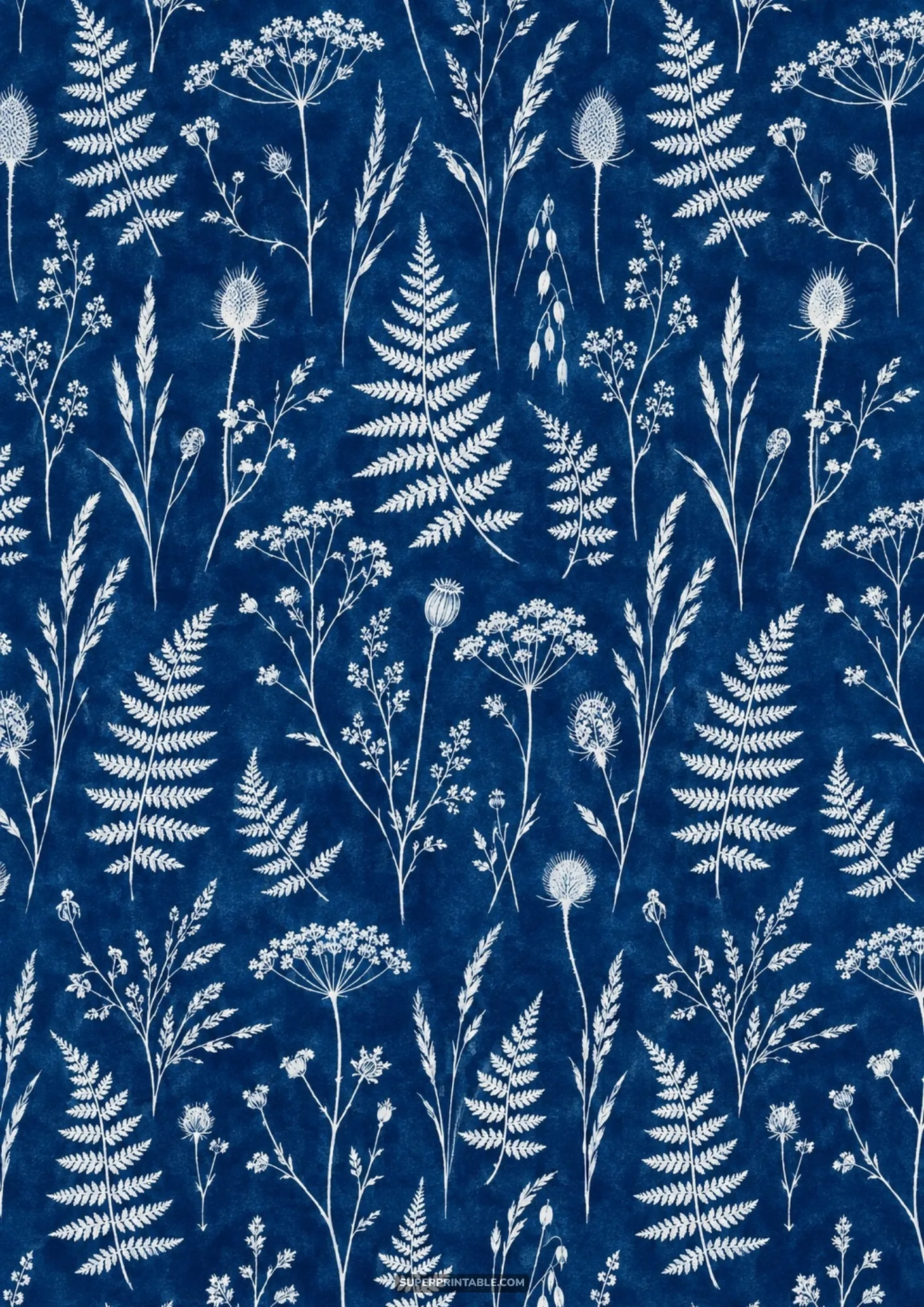 Victorian herbarium backgrounds featuring white pressed ferns and wildflowers on deep cyanotype blue