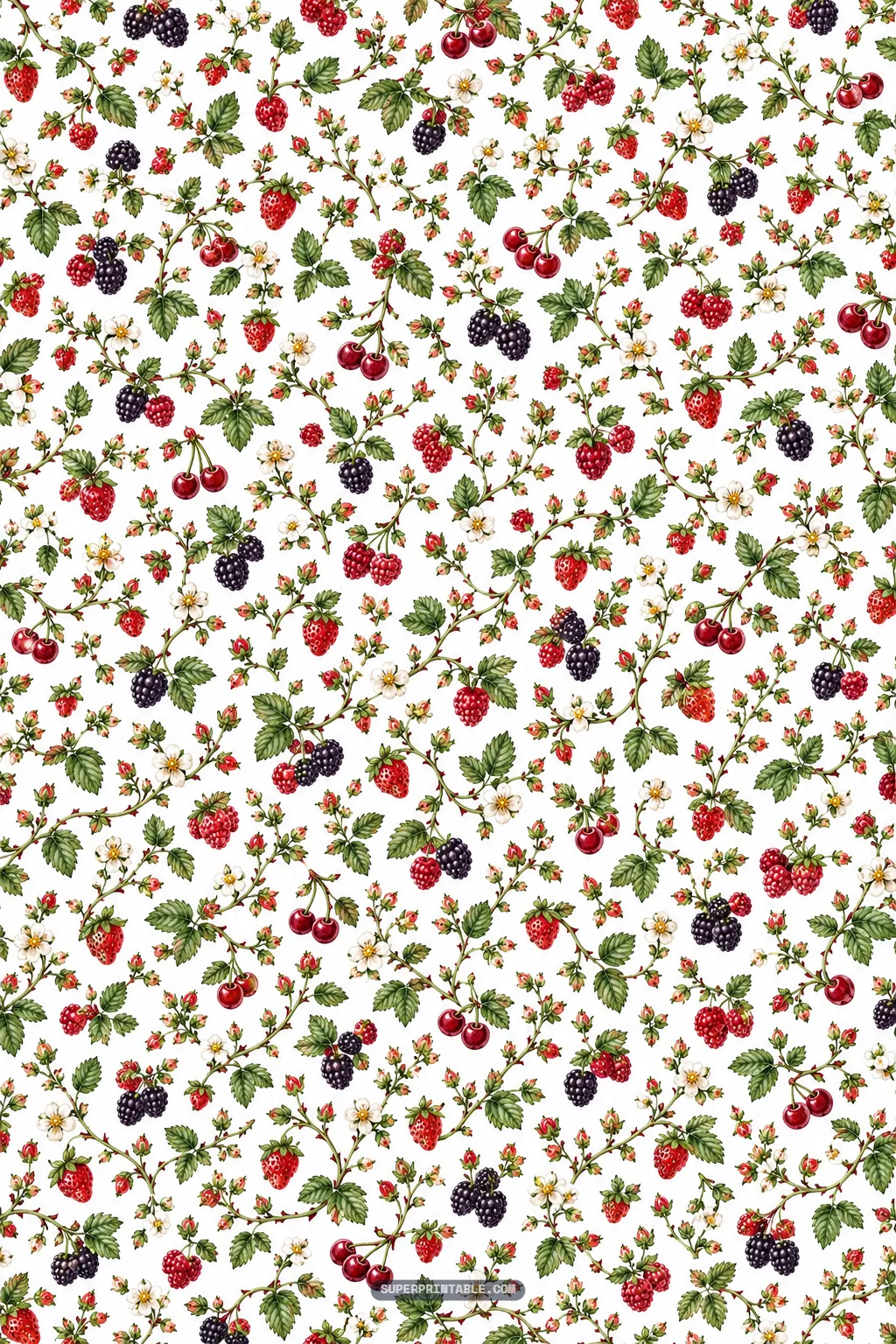 Fine botanical pattern of creeping berry bramble vines, wild cherries, and tiny white flowers
