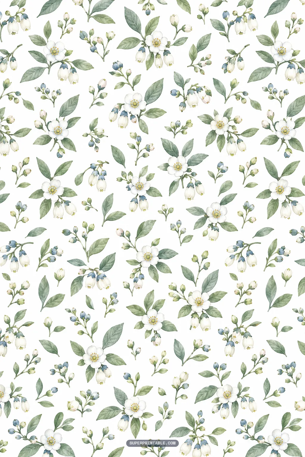 Soft meadow floral pattern with tiny white blossoms, green foliage, and nascent blue berries on white