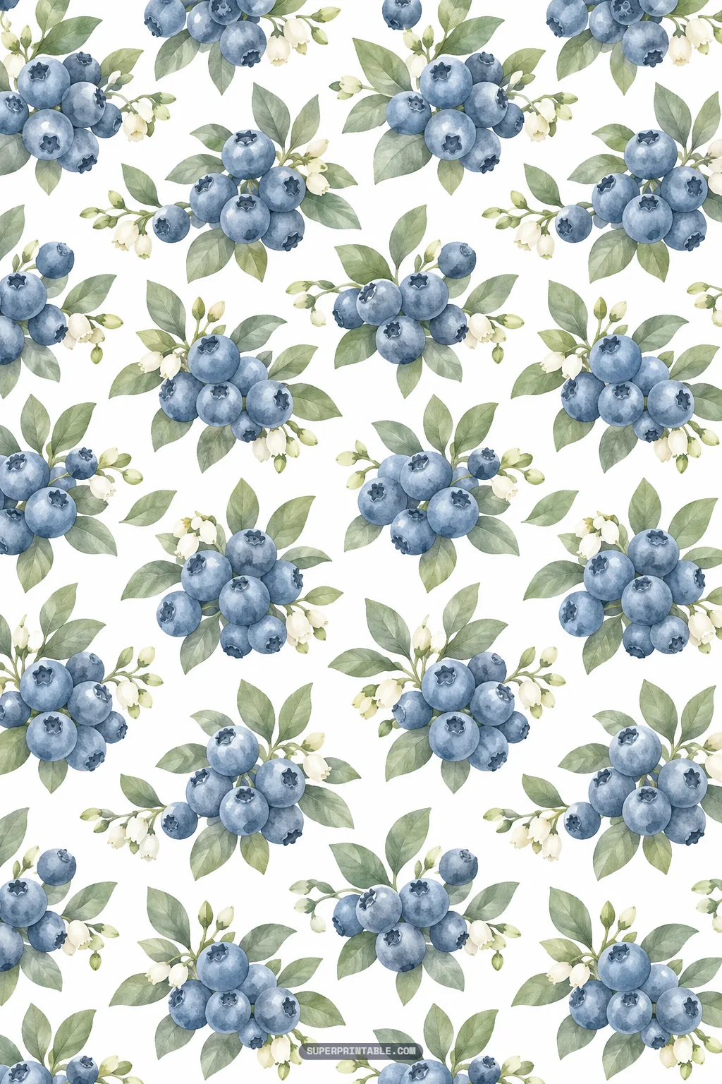Dense clusters of ripe blue berries with tiny bell-shaped blossoms and sage leaves on an ivory backdrop