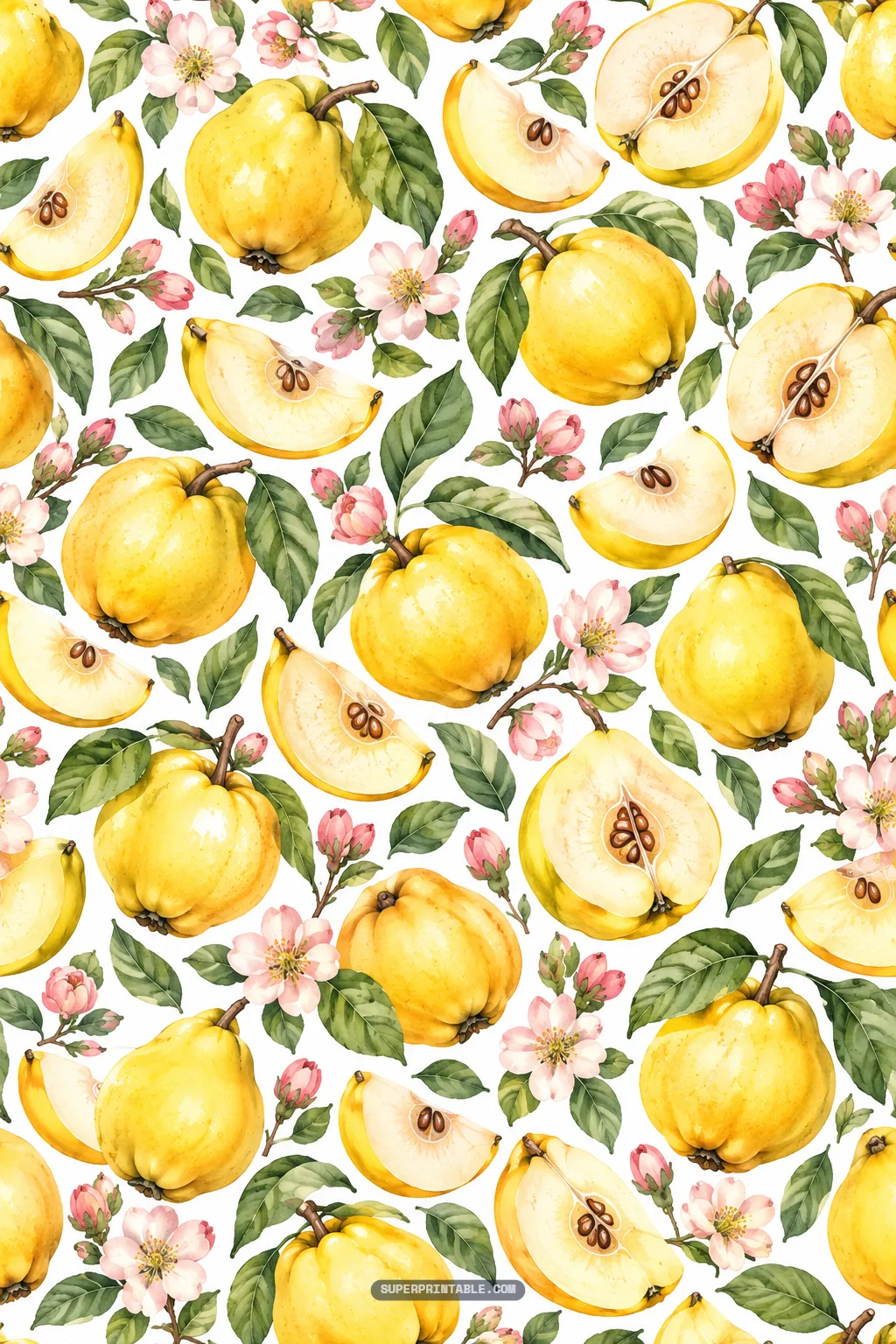 Dense watercolor arrangement of ripe quinces, cut wedges, and pink floral blossoms