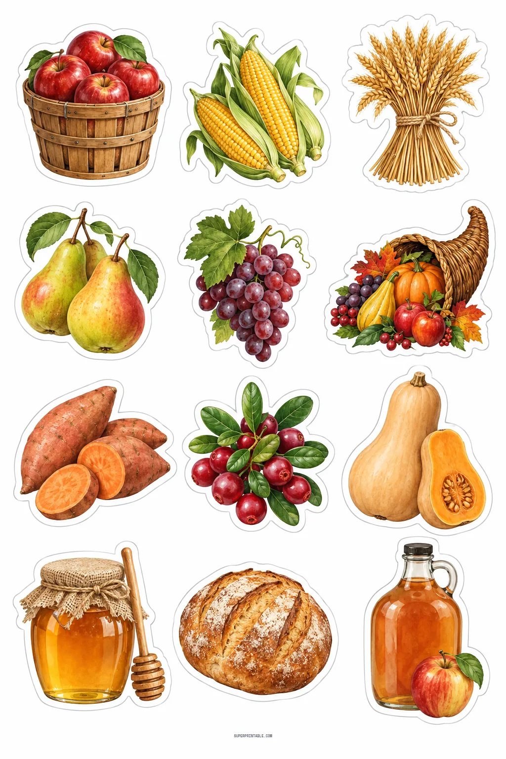Fall harvest produce stickers depicting bushel of apples, cornucopia, butternut squash, and apple cider jug