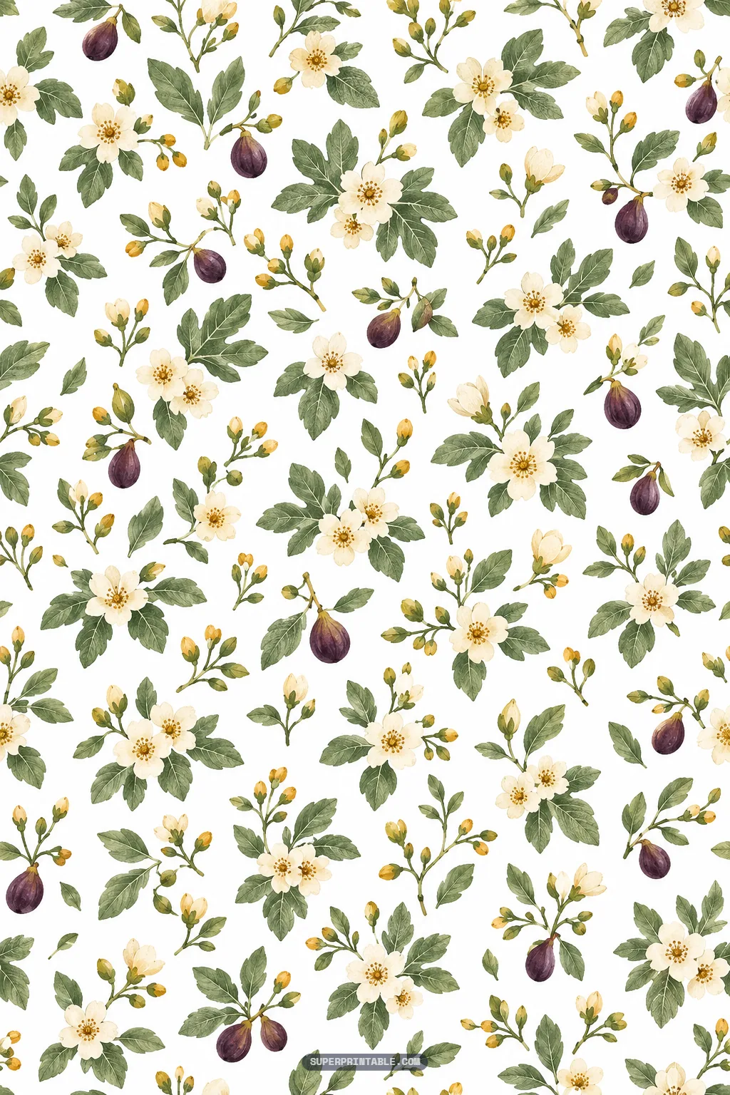 Delicate white fig blossoms and small purple fruits surrounded by soft green foliage on a white background
