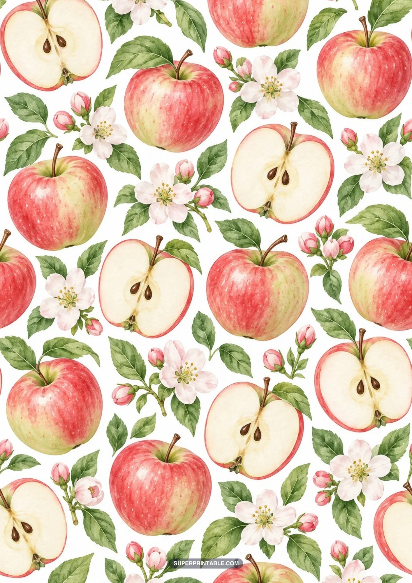Detailed watercolor apples shown whole and sliced alongside leafy white blossoms