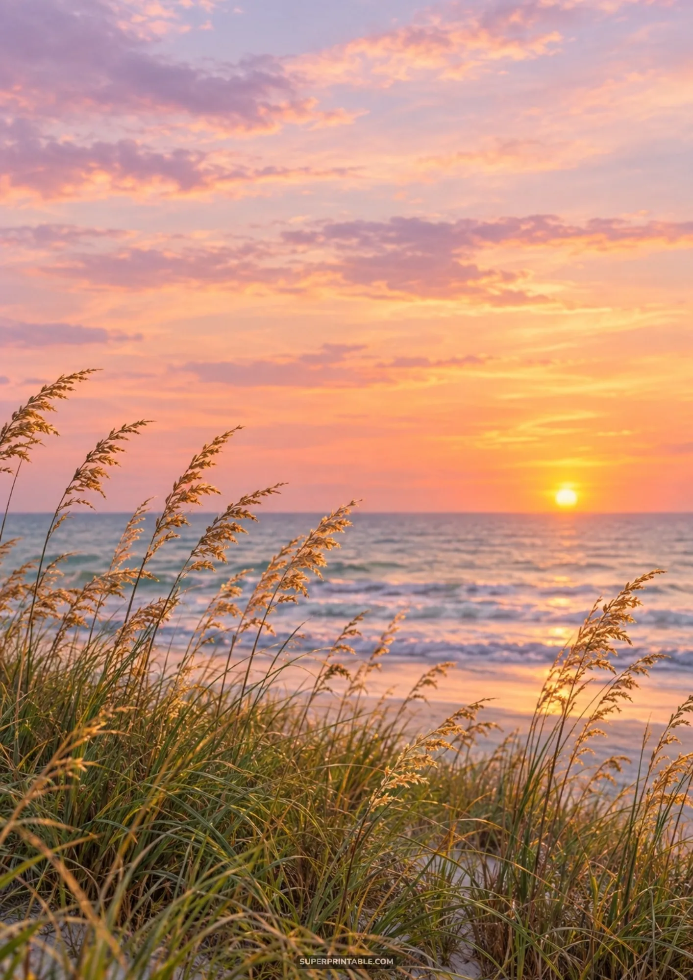 Golden coastal sunset over rolling ocean waves framed by delicate beach dune sea oats
