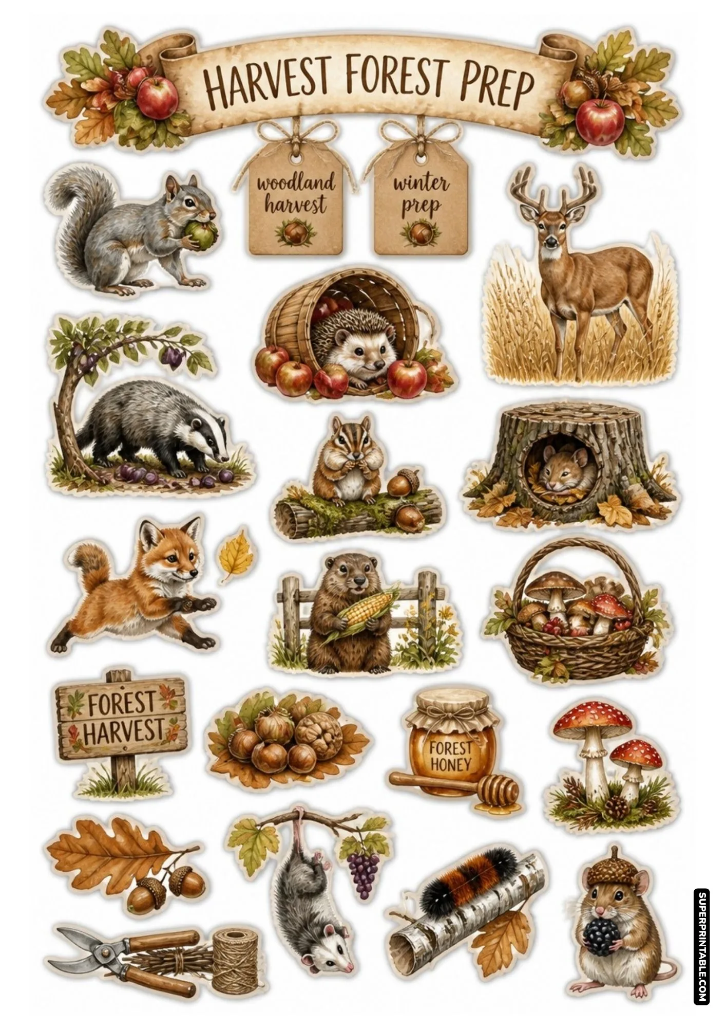 Woodland animals autumn harvest sticker sheet with squirrels, hedgehogs, and acorns.