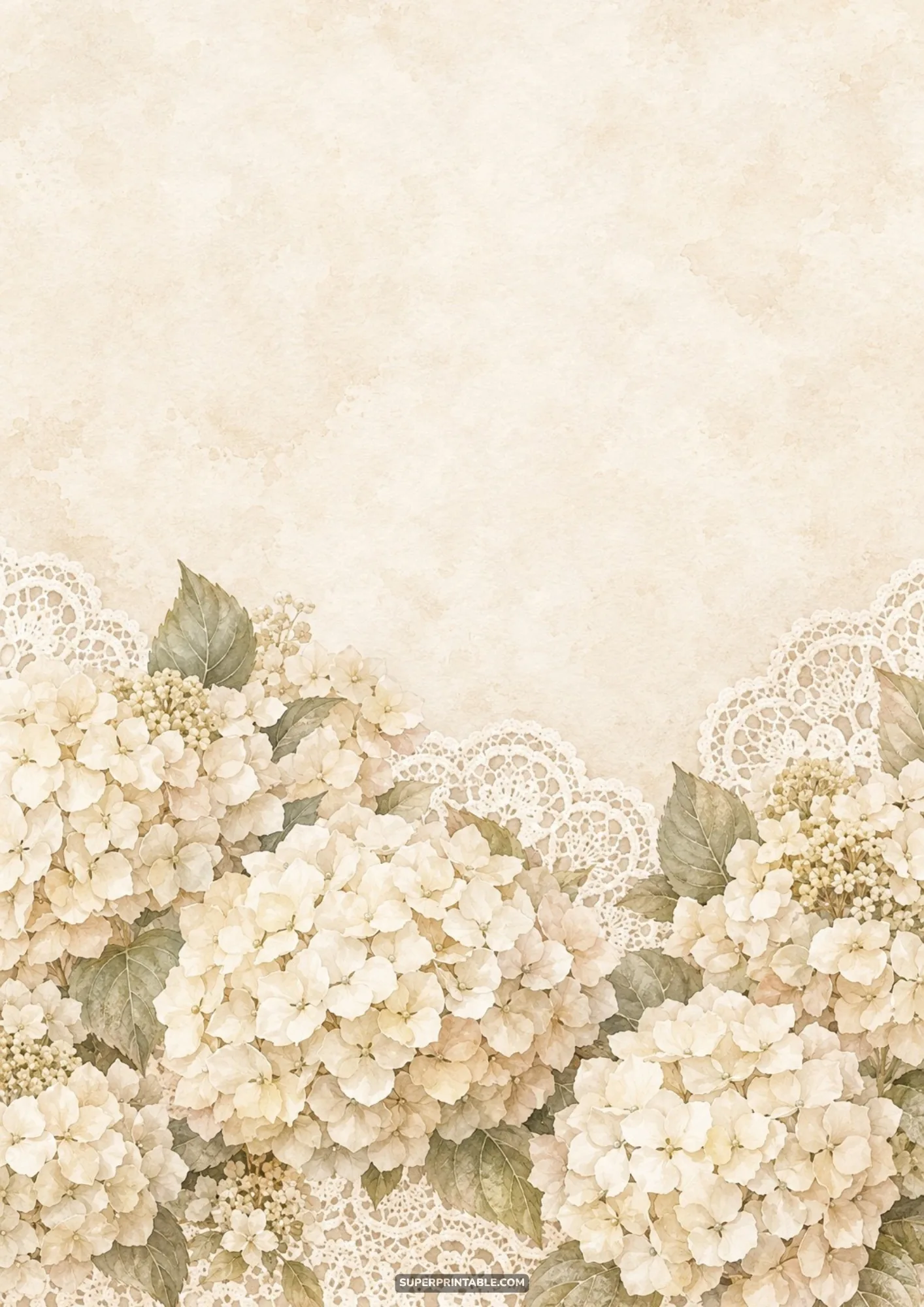 Lush clusters of champagne hydrangeas nestled on scalloped doily lace across antique paper