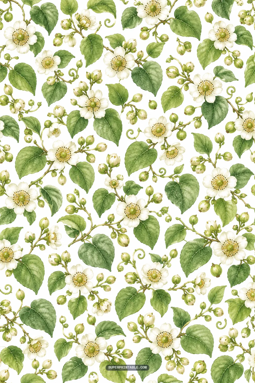 botanical kiwi blossom vine pattern featuring white flowers, green buds, and leaves