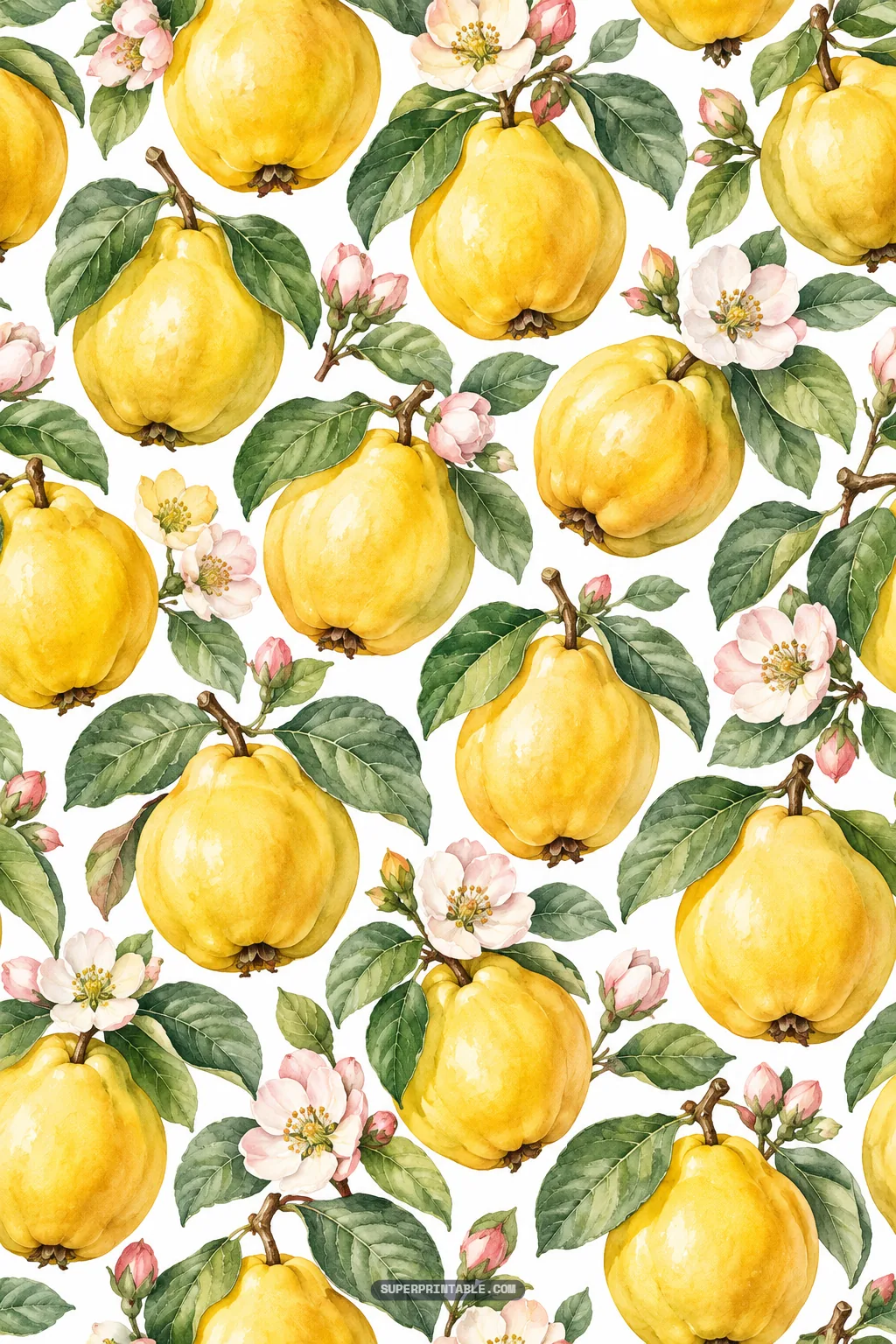 Large watercolor quince fruits on leafy branches with pale pink orchard blossoms