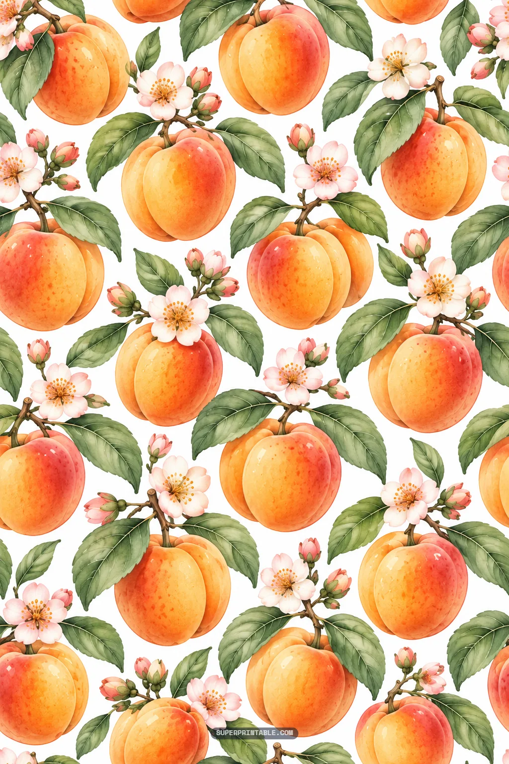 Large watercolor ripe apricots with blush tones on leafy branches alongside small blossoms.
