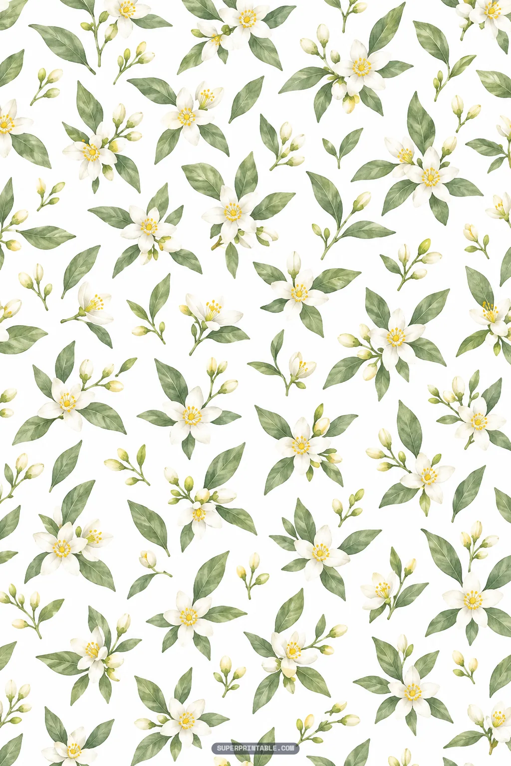 Delicate white citrus blossom pattern with green foliage sprigs and unopened buds on white