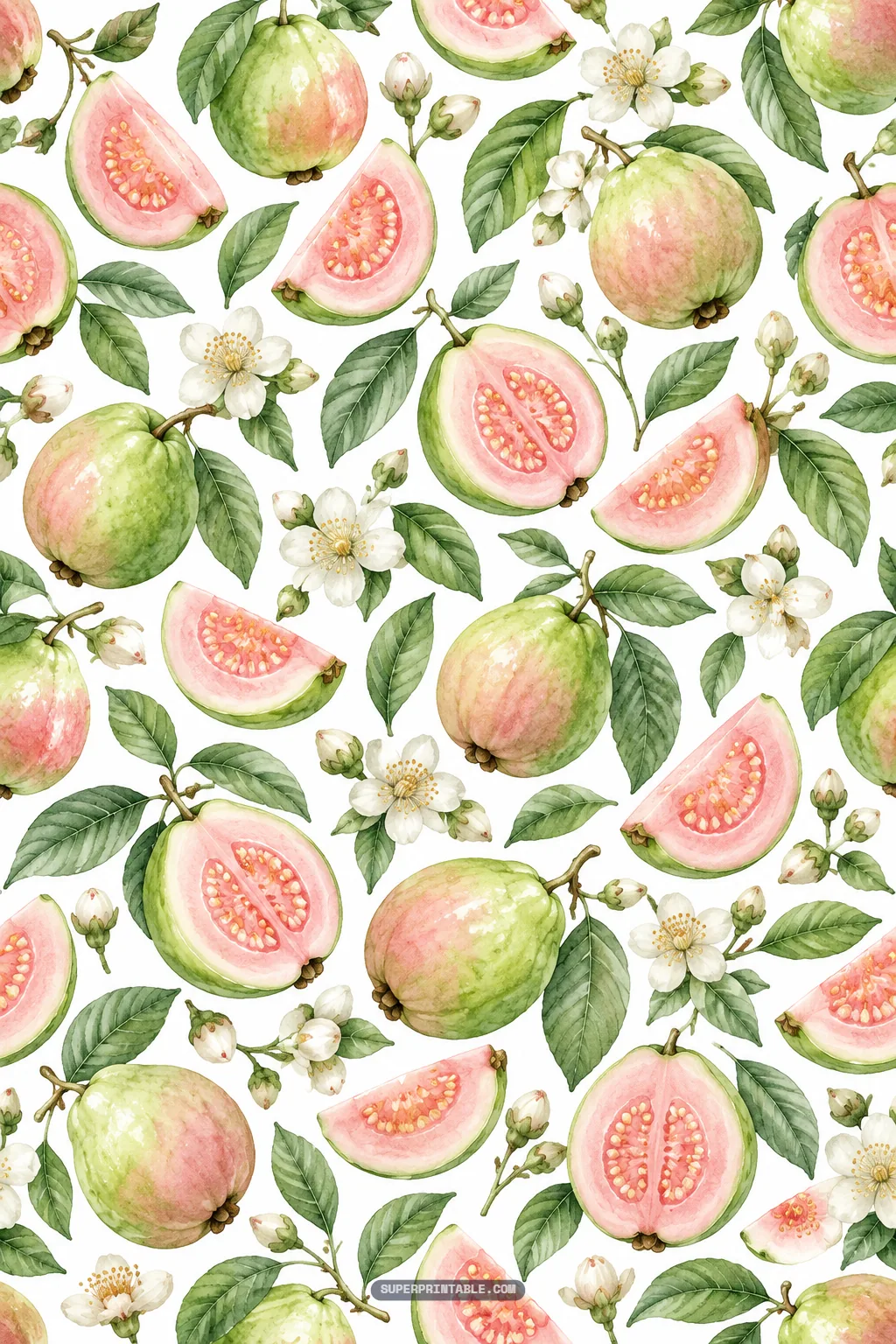 Fresh watercolor guavas, exposed seed halves, and white flowers on white paper
