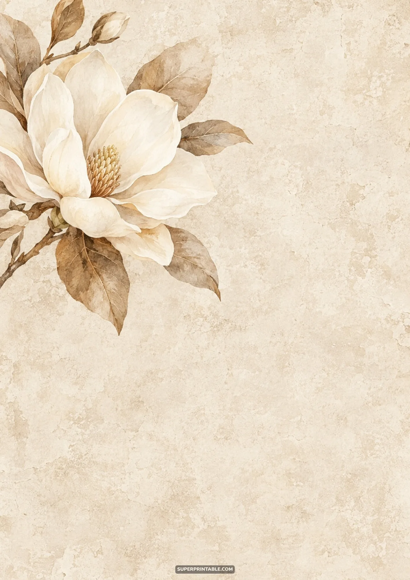 Cream magnolia flower on a branch in the upper corner over cracked vintage plaster texture