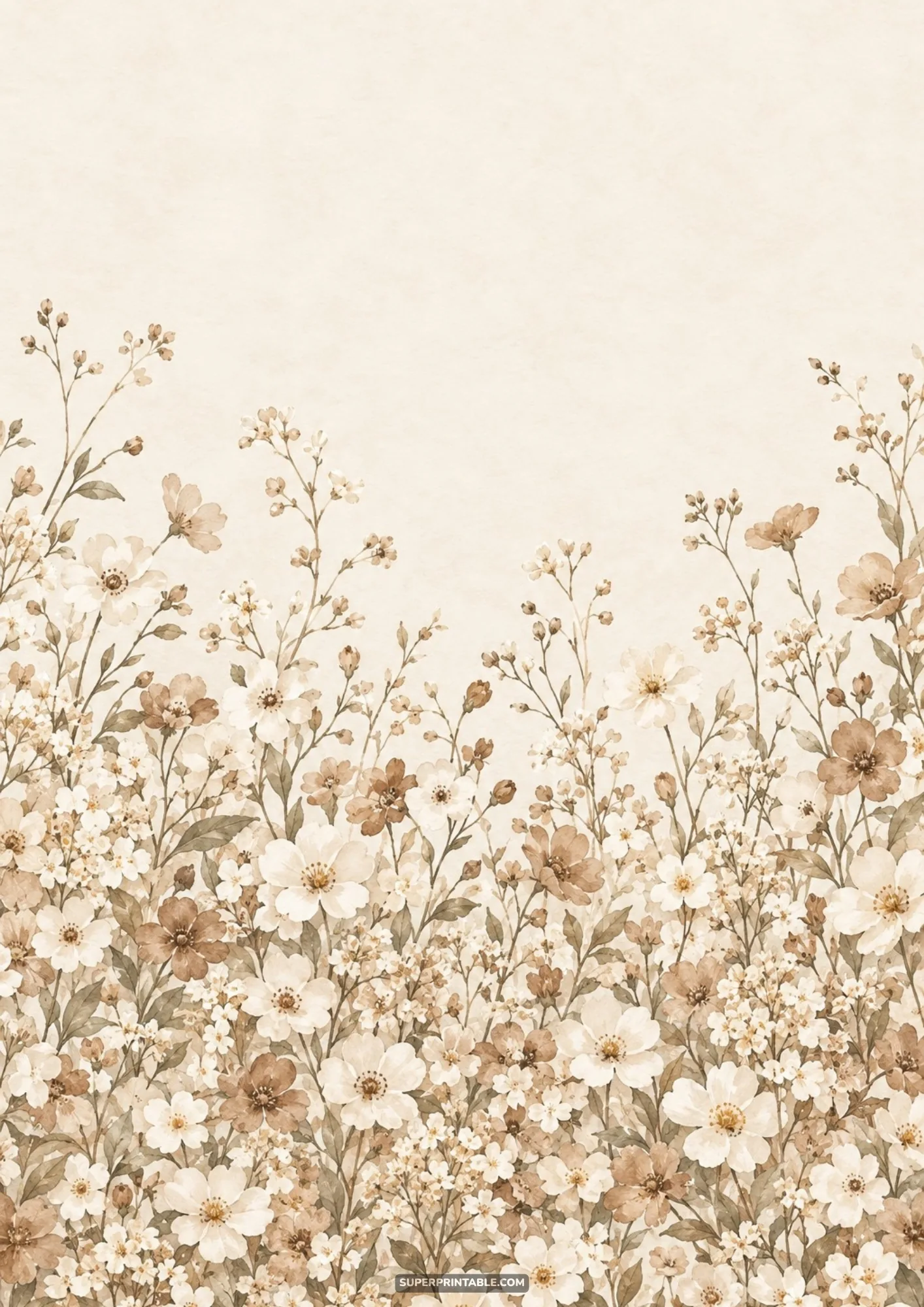 Delicate meadow wildflowers and dainty blossoms rising from the bottom border of aged paper