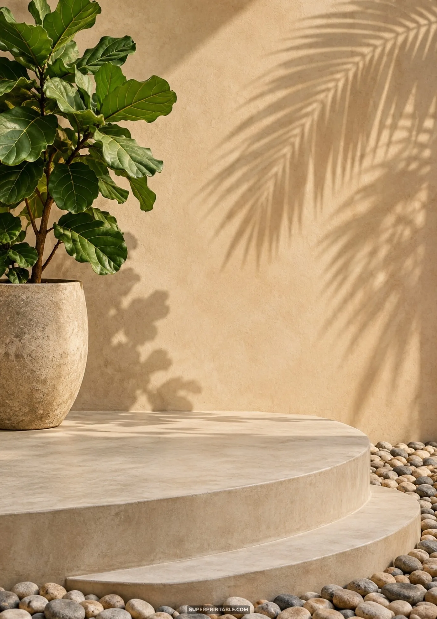Round stone pedestal podium with potted fiddle leaf fig and palm shadows