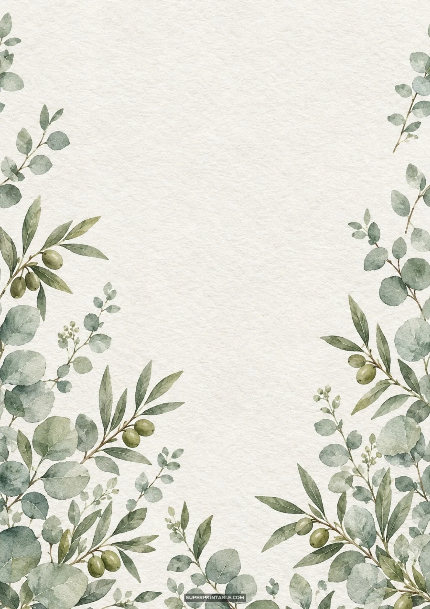 Sage green botanical watercolor papers with olive branches and eucalyptus framing page borders