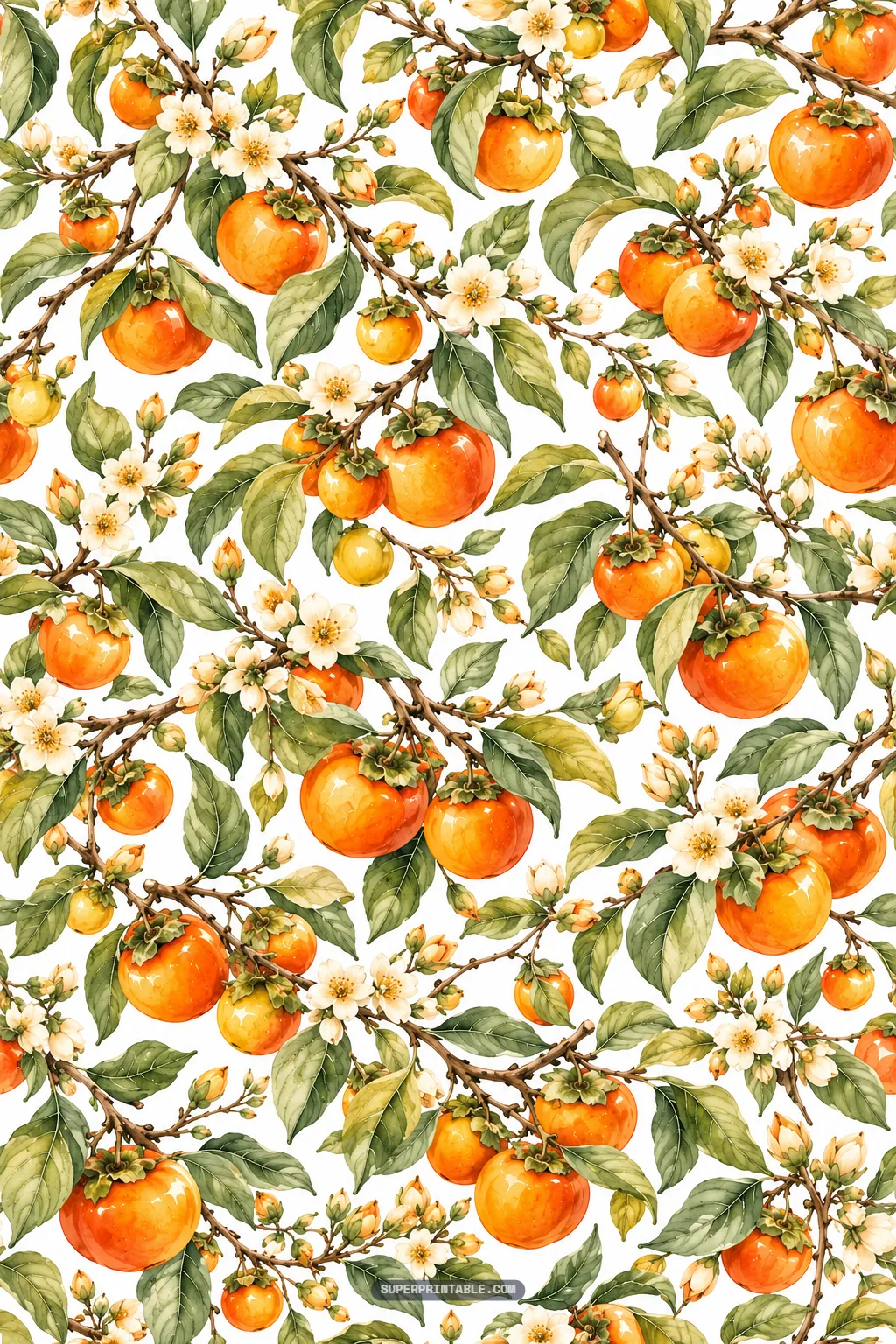 Detailed persimmon orchard branches showcasing ripe fruit, developing buds, and white flowers in watercolor