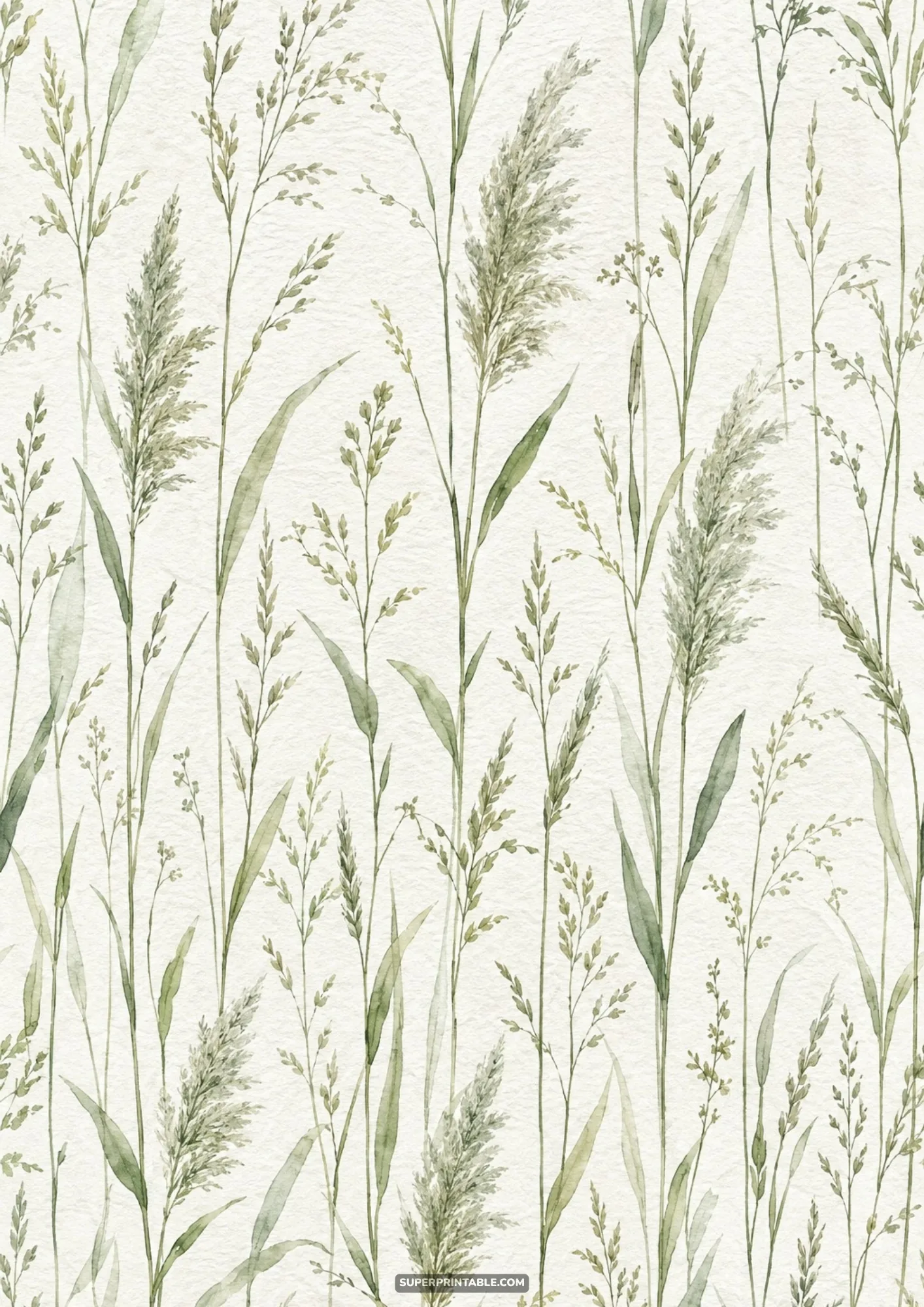 Feathery wild grass plumes and wheat stalks painted in muted watercolor greens