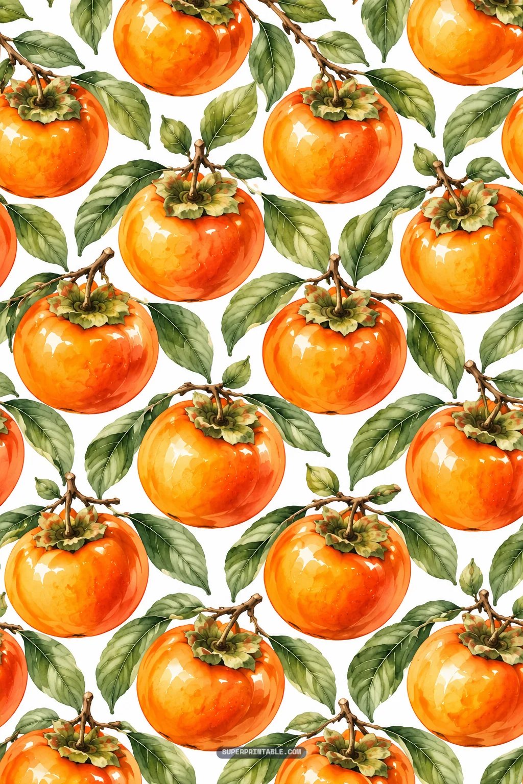 Glossy orange persimmons clustering on green leafy branches over a crisp white seamless background