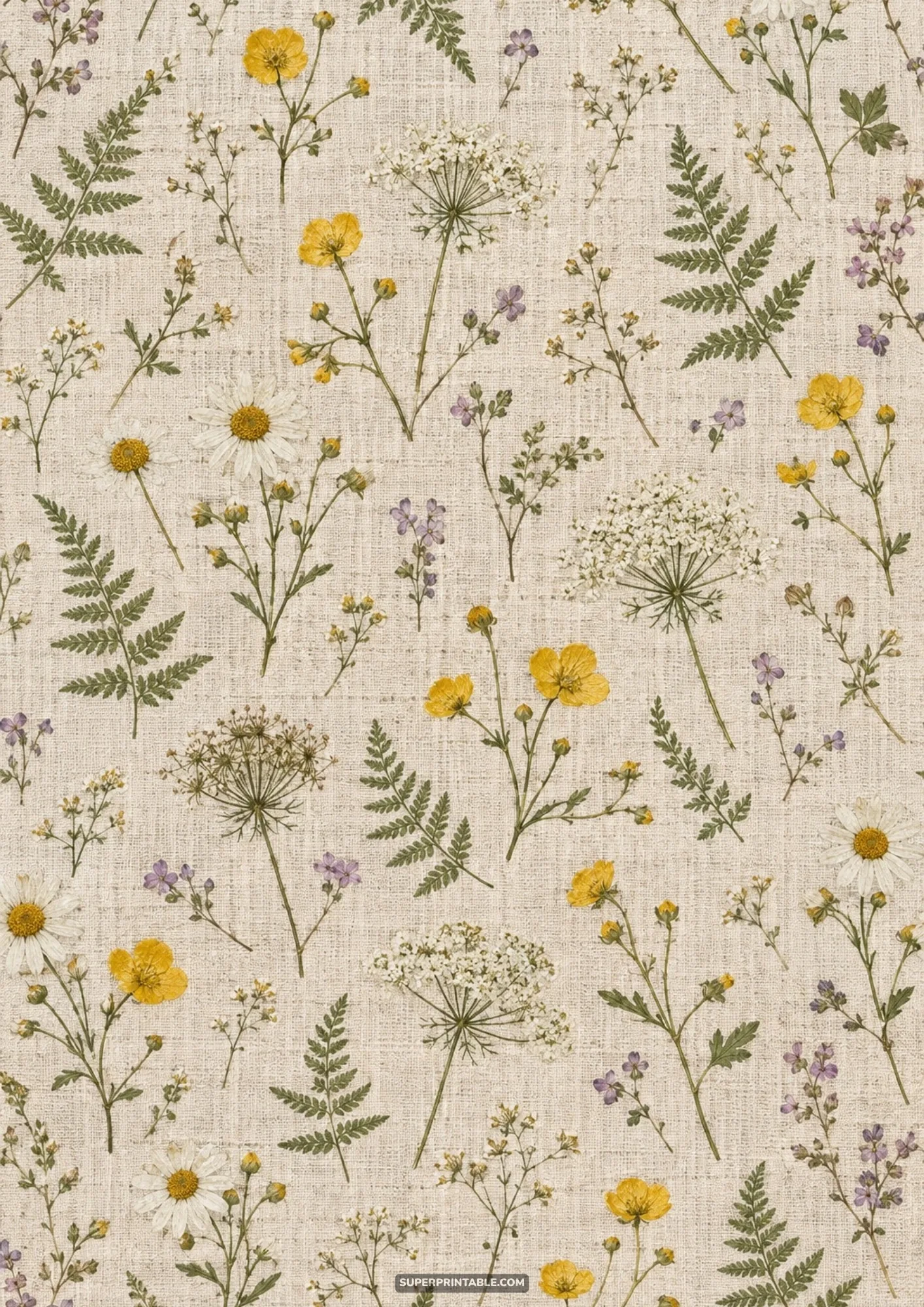 Pressed herbarium specimens of yellow buttercups, white umbels, and green ferns on linen fabric