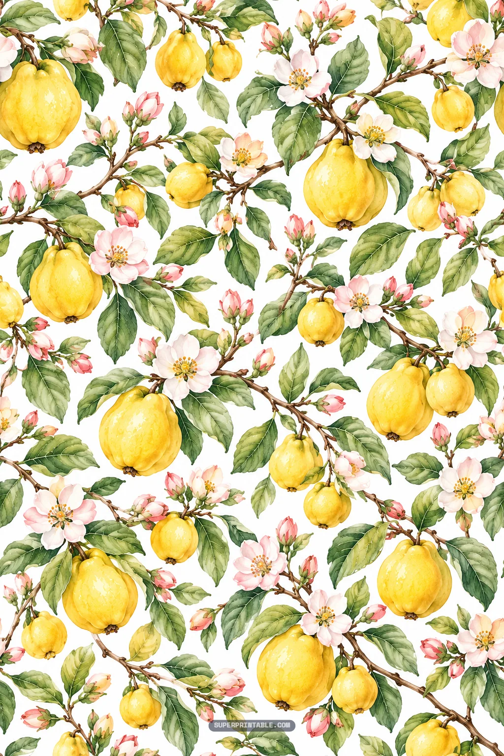 Curving orchard boughs laden with golden quince fruits and blooming flowers