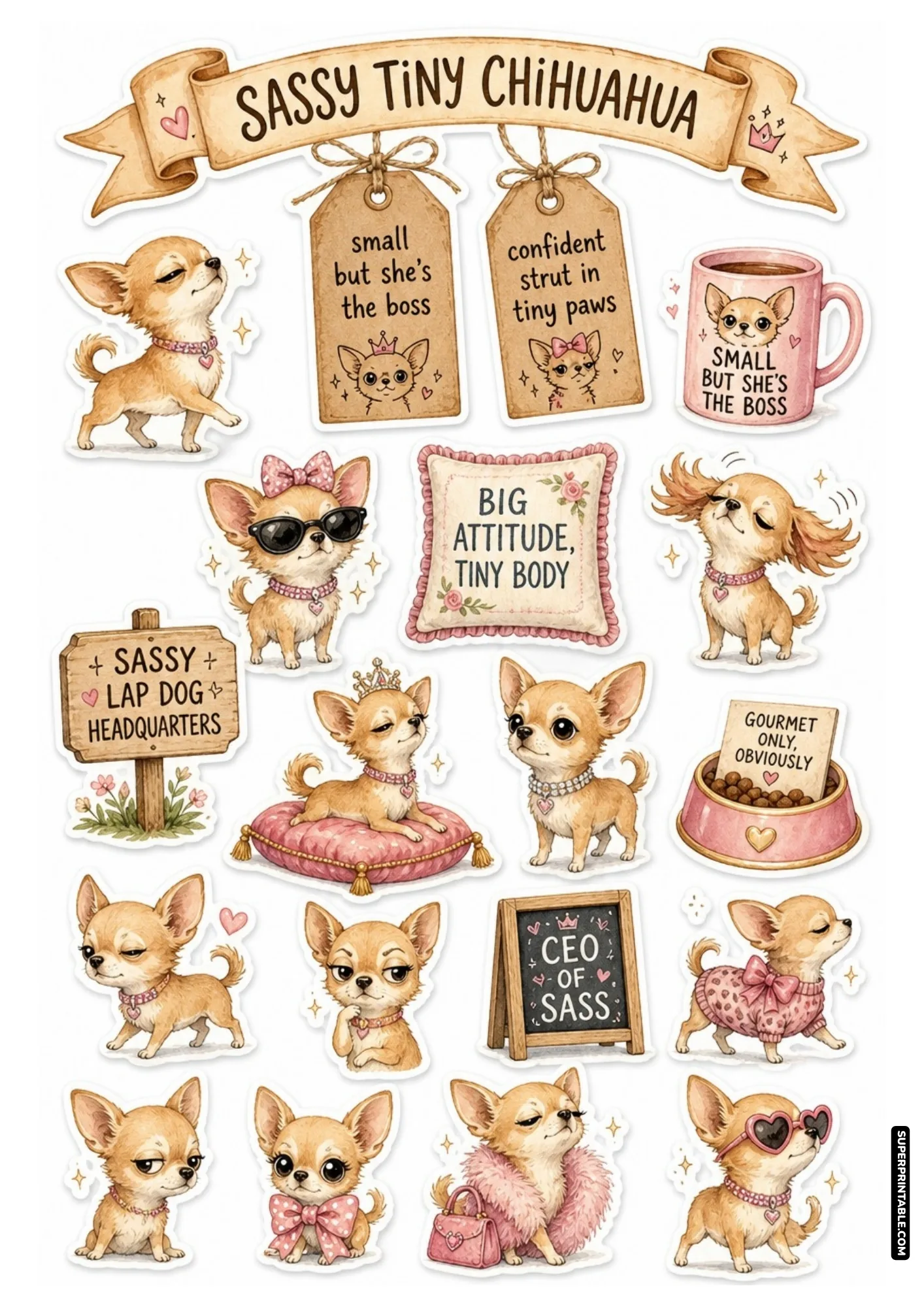 Tiny fawn chihuahuas showing big boss attitude with tiaras, knit sweaters, and gourmet pink dog food bowls