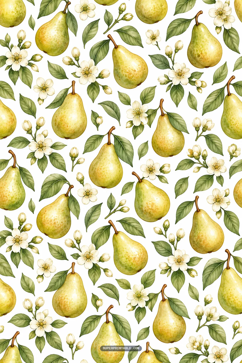 Plump watercolor yellow pears with delicate white flowers and green leaves scattered on a white background.