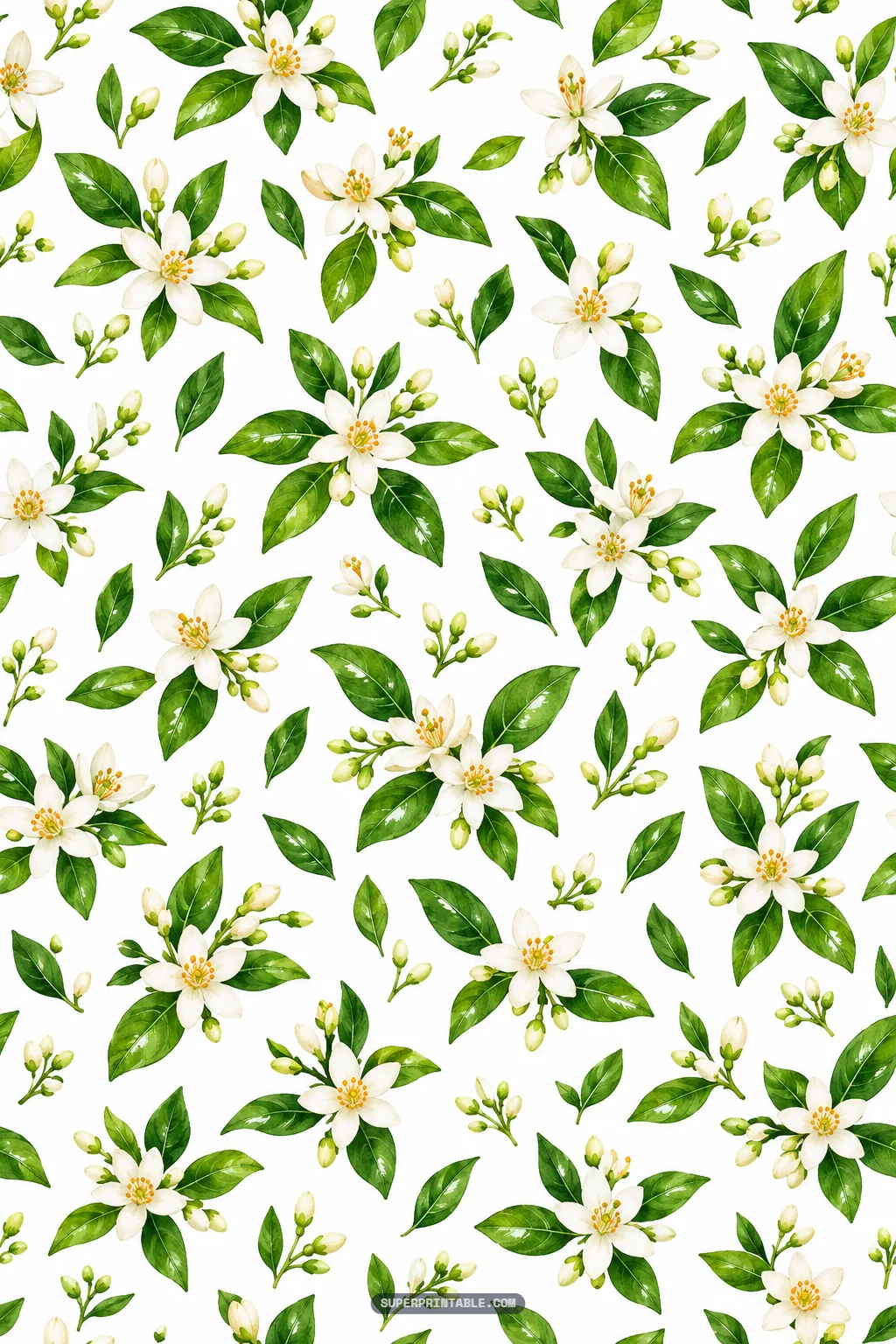 Graceful watercolor orange blossom flowers and slender green buds scattered seamlessly across an ivory backdrop