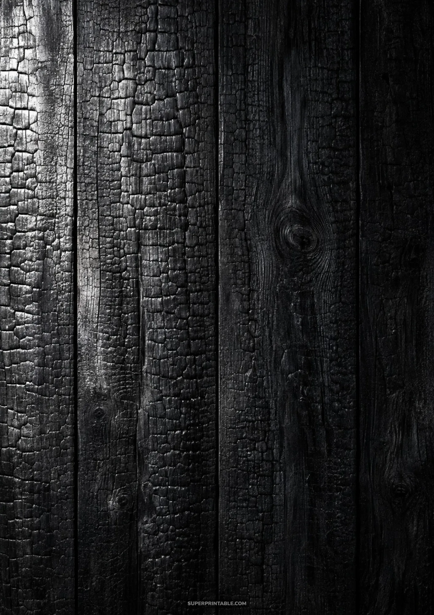Shou sugi ban charred wood plank surface showing deep crackled carbonized black grain