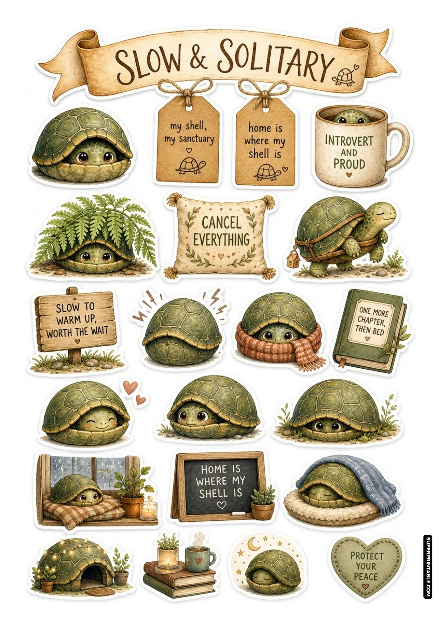 Sweet tortoise stickers nestled in warm scarves, rainy window sills, and cozy shells with peace quotes