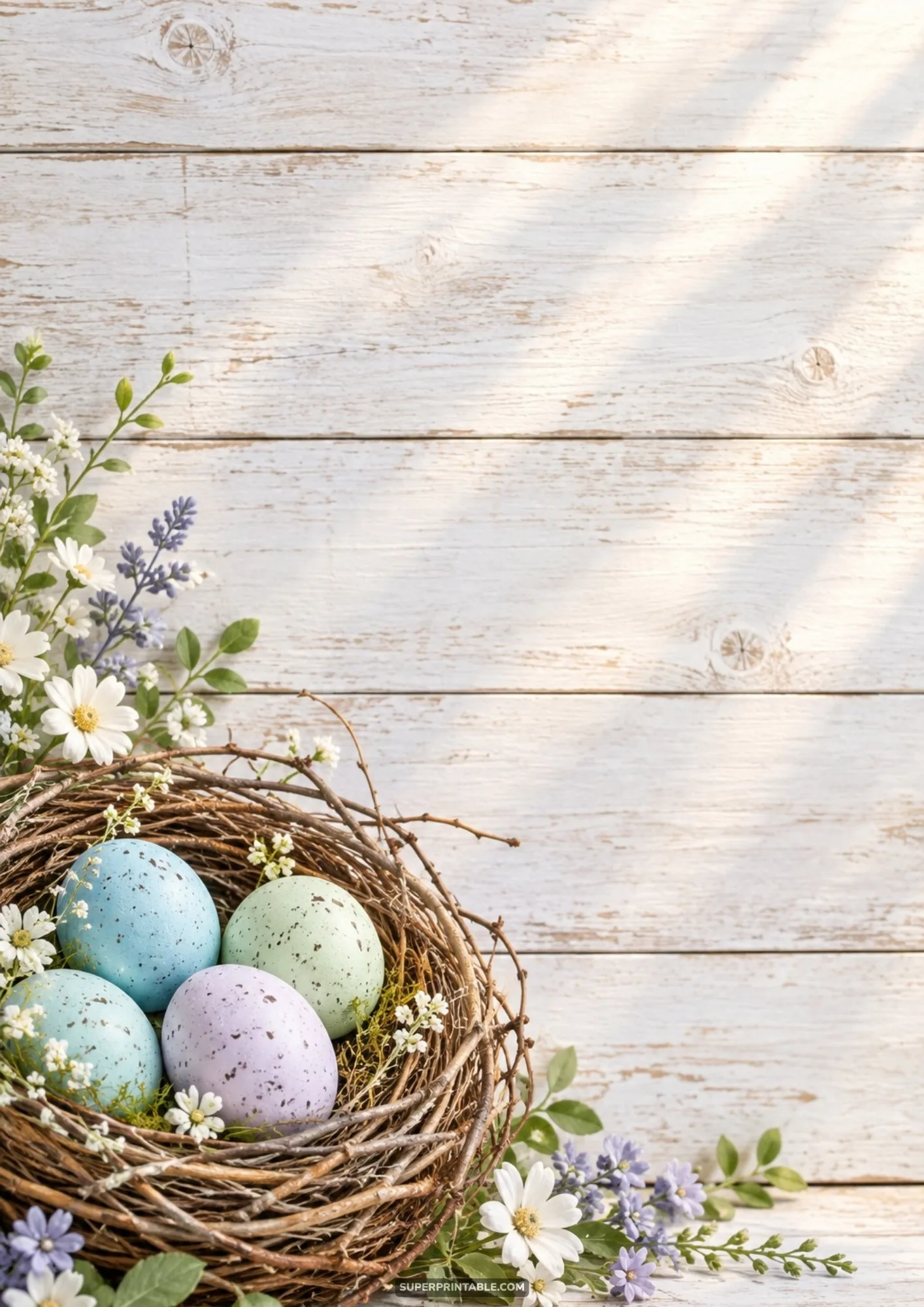 Speckled pastel eggs in a rustic twig nest for easter spring digital backgrounds