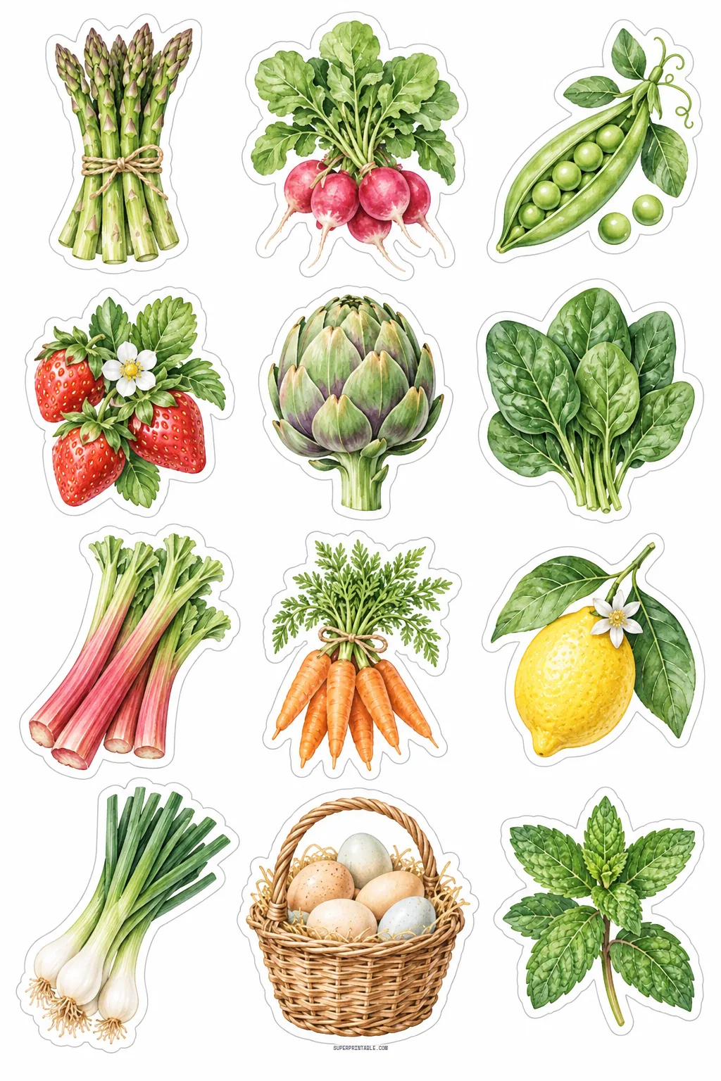 Farmers market spring vegetable stickers with fresh radishes, asparagus, strawberries, carrots, and farm eggs