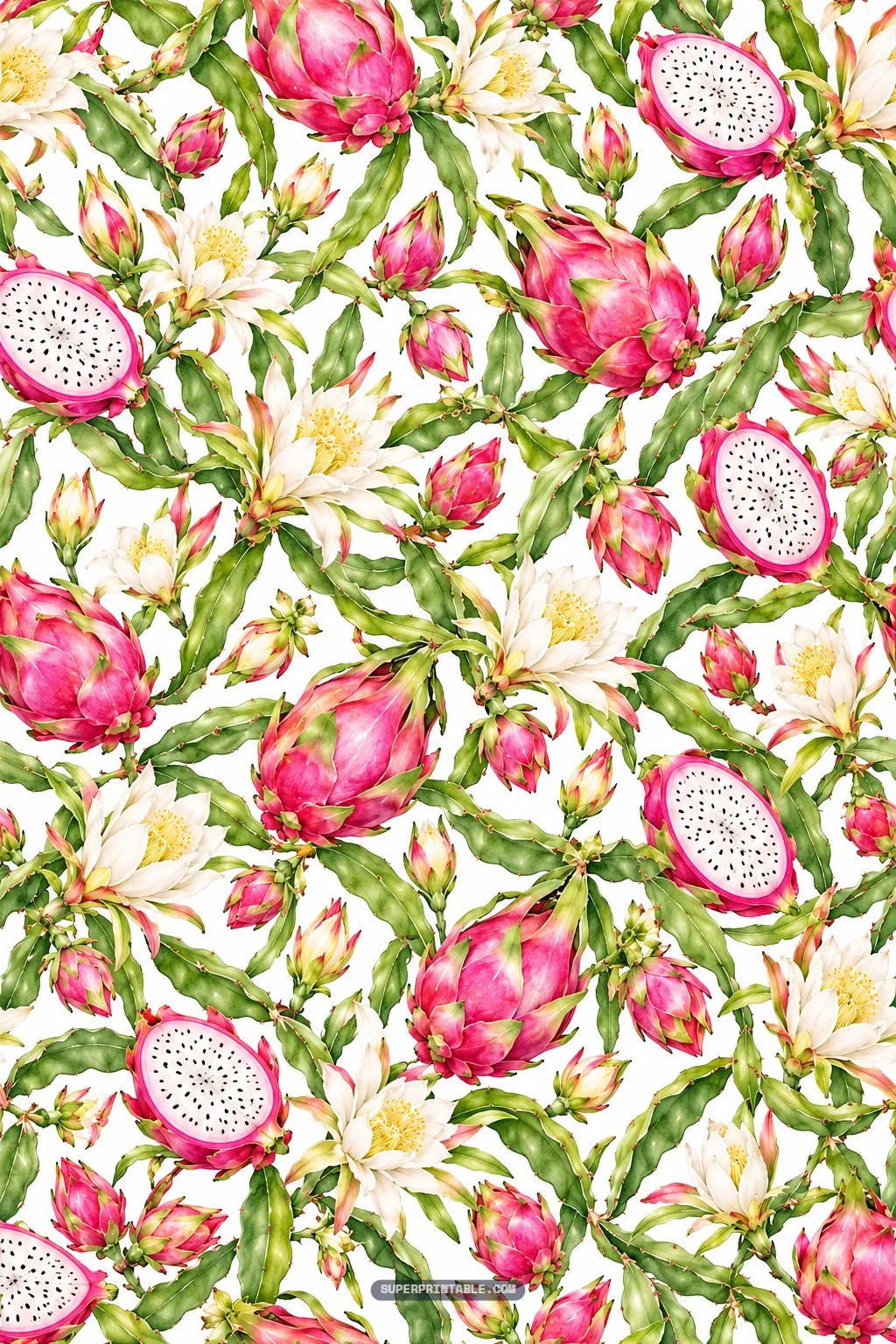 Climbing green succulent stems, ripe dragon fruits, halved cross sections, and creamy white flowers.