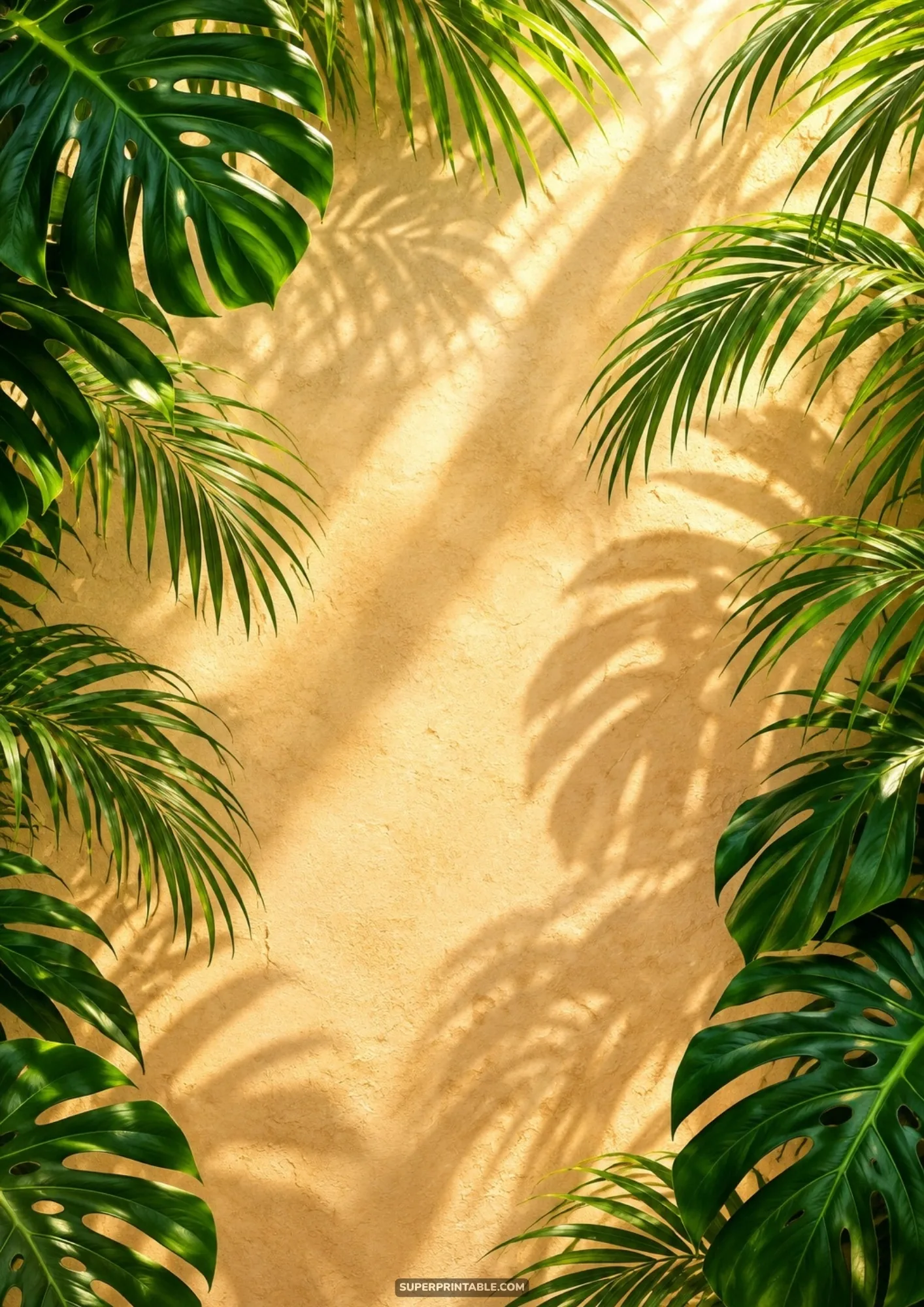 Sunlit stucco wall framed by tropical monstera and palm leaves