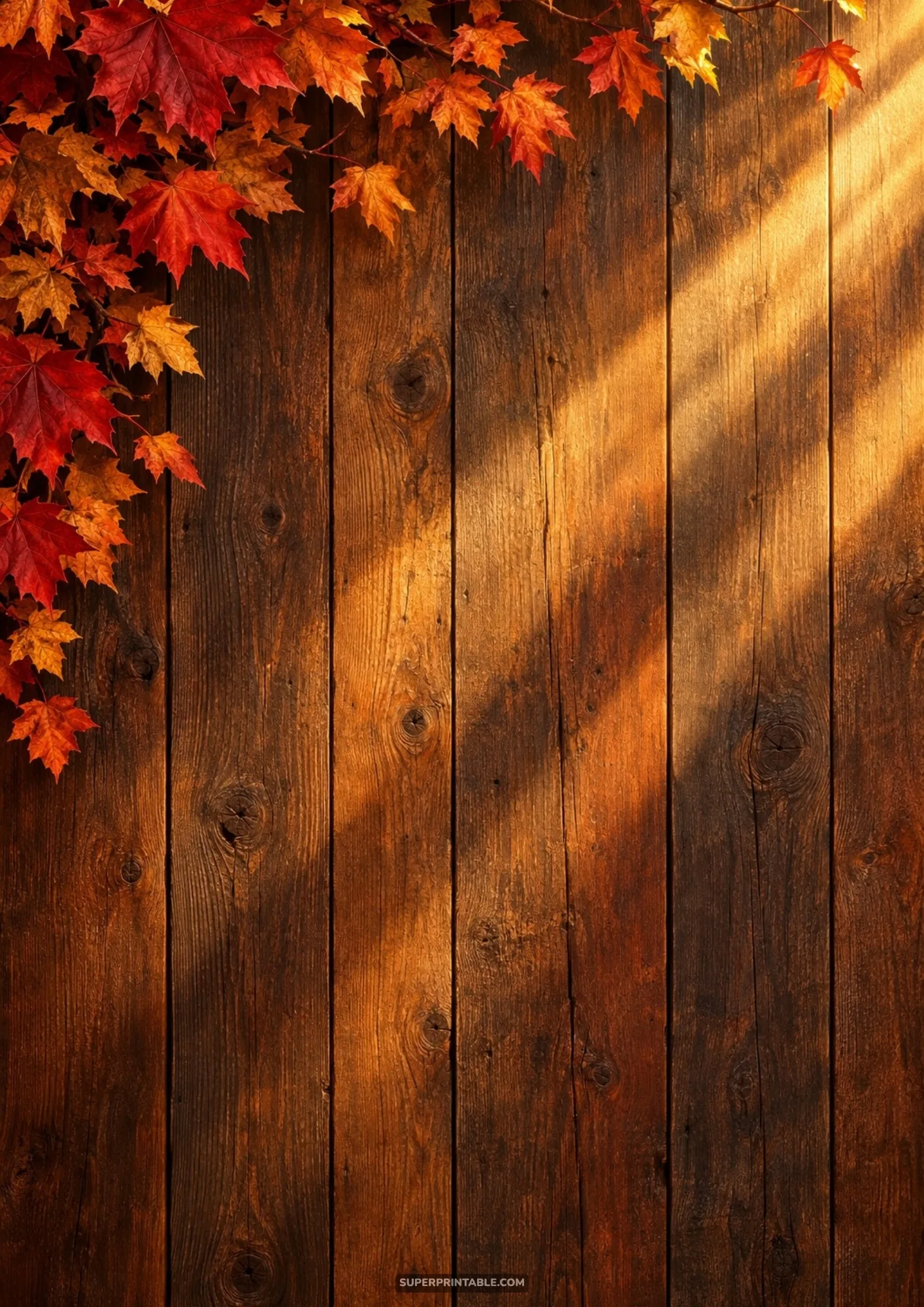Vertical dark wood background with bright red and orange maple leaves in corner and warm golden sunlight rays.