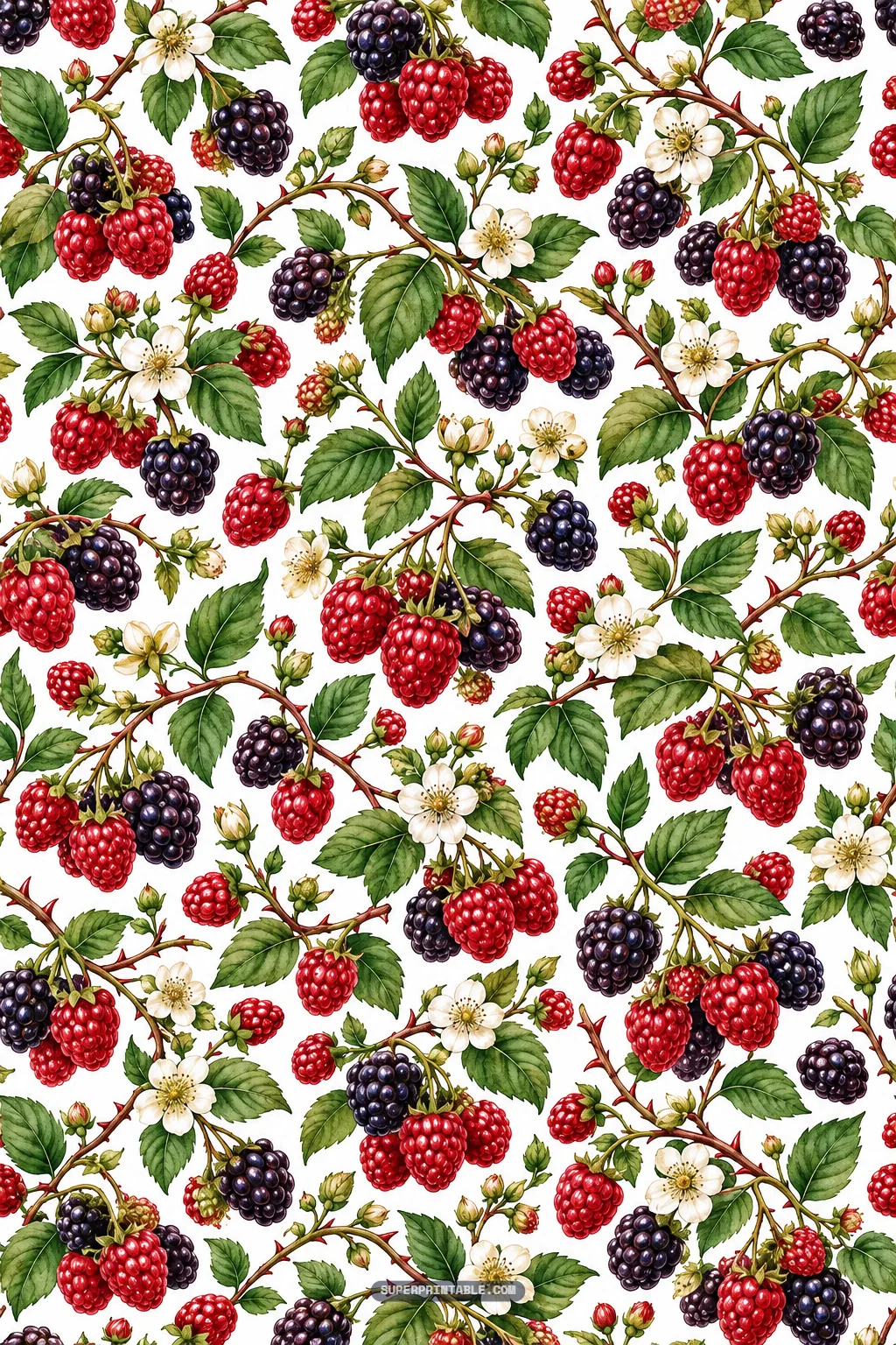 Detailed seamless wild berry pattern displaying winding bramble stems, blackberries, and blossoms