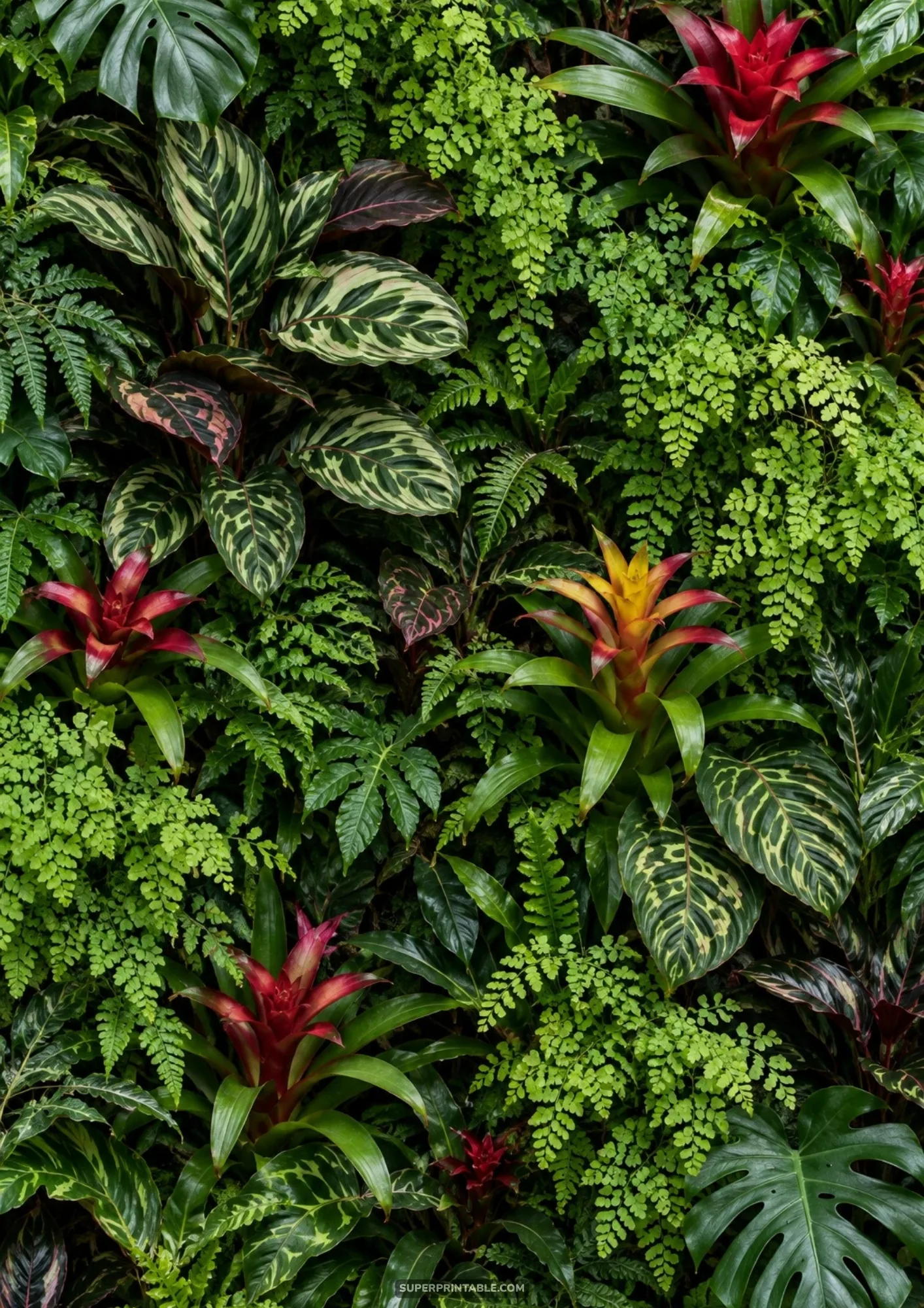 Lush tropical garden living wall filled with ferns and red bromeliads