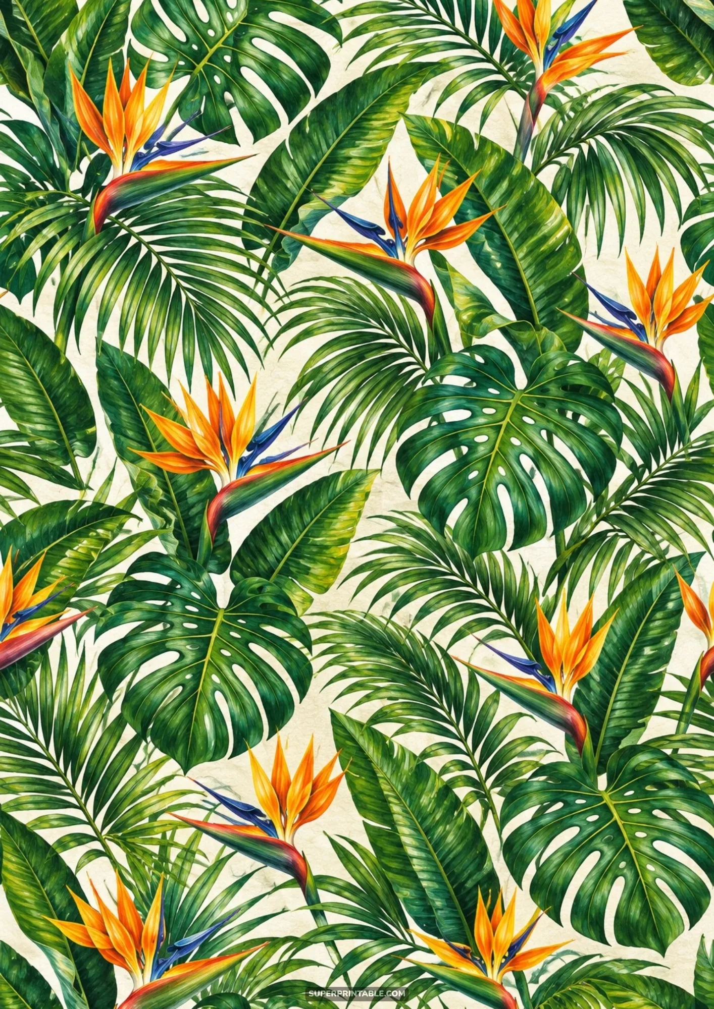 Tropical summer paradise backgrounds with bird of paradise and palm leaves