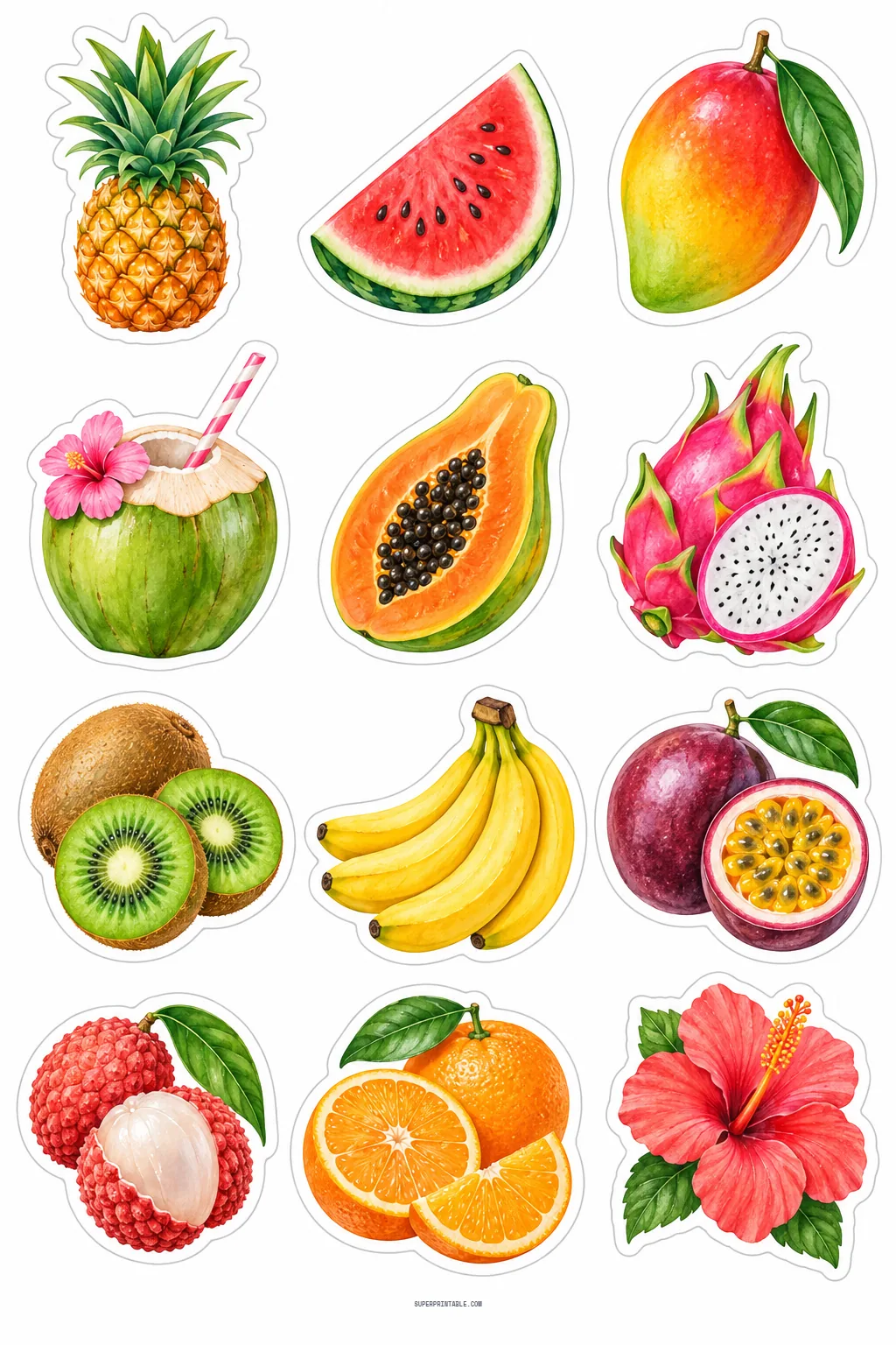 Tropical summer fruits stickers depicting fresh watermelon, pineapple, coconut drink, papaya, and mango