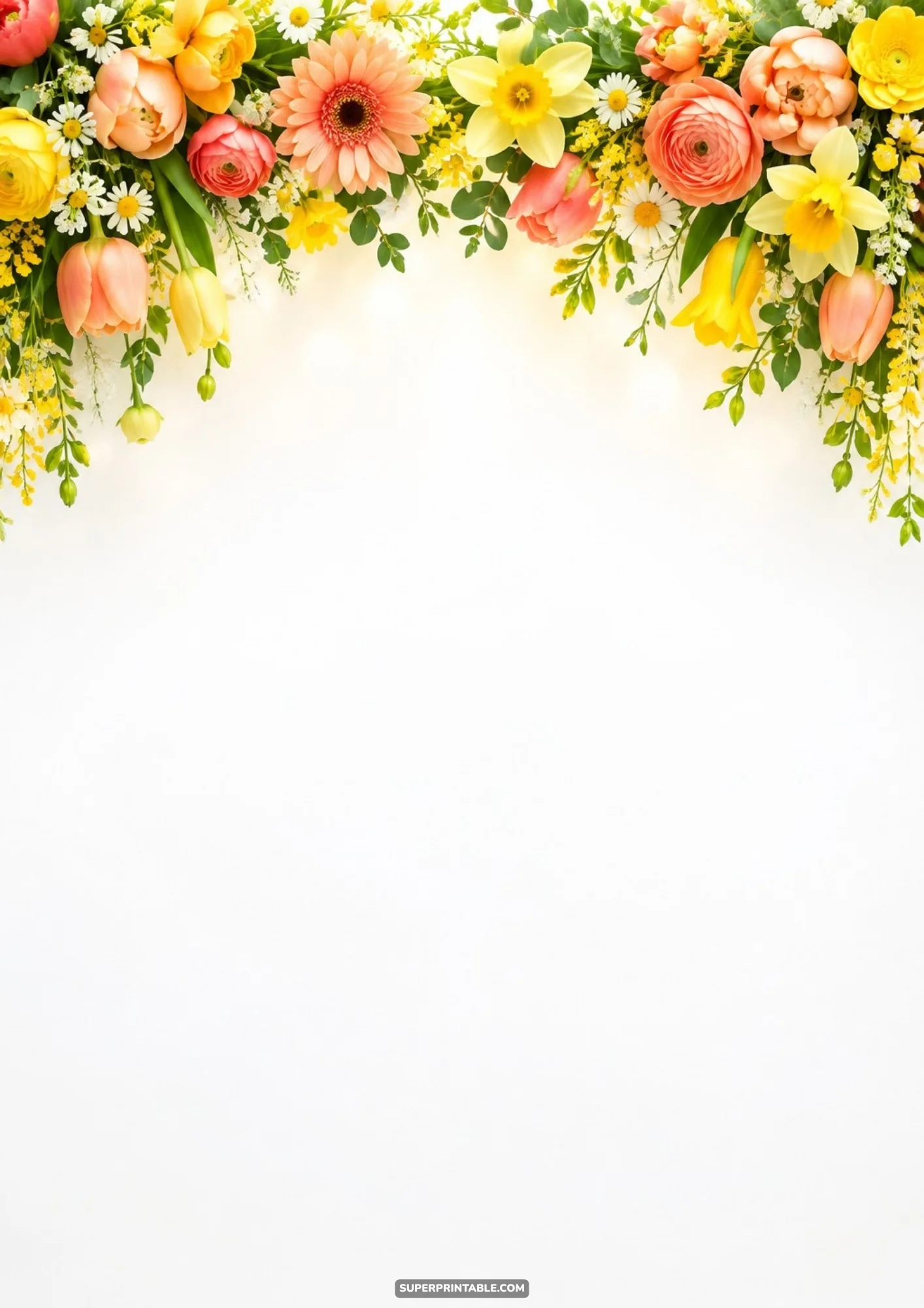 Vibrant arch of daffodils, ranunculus, and tulips along the top of white background