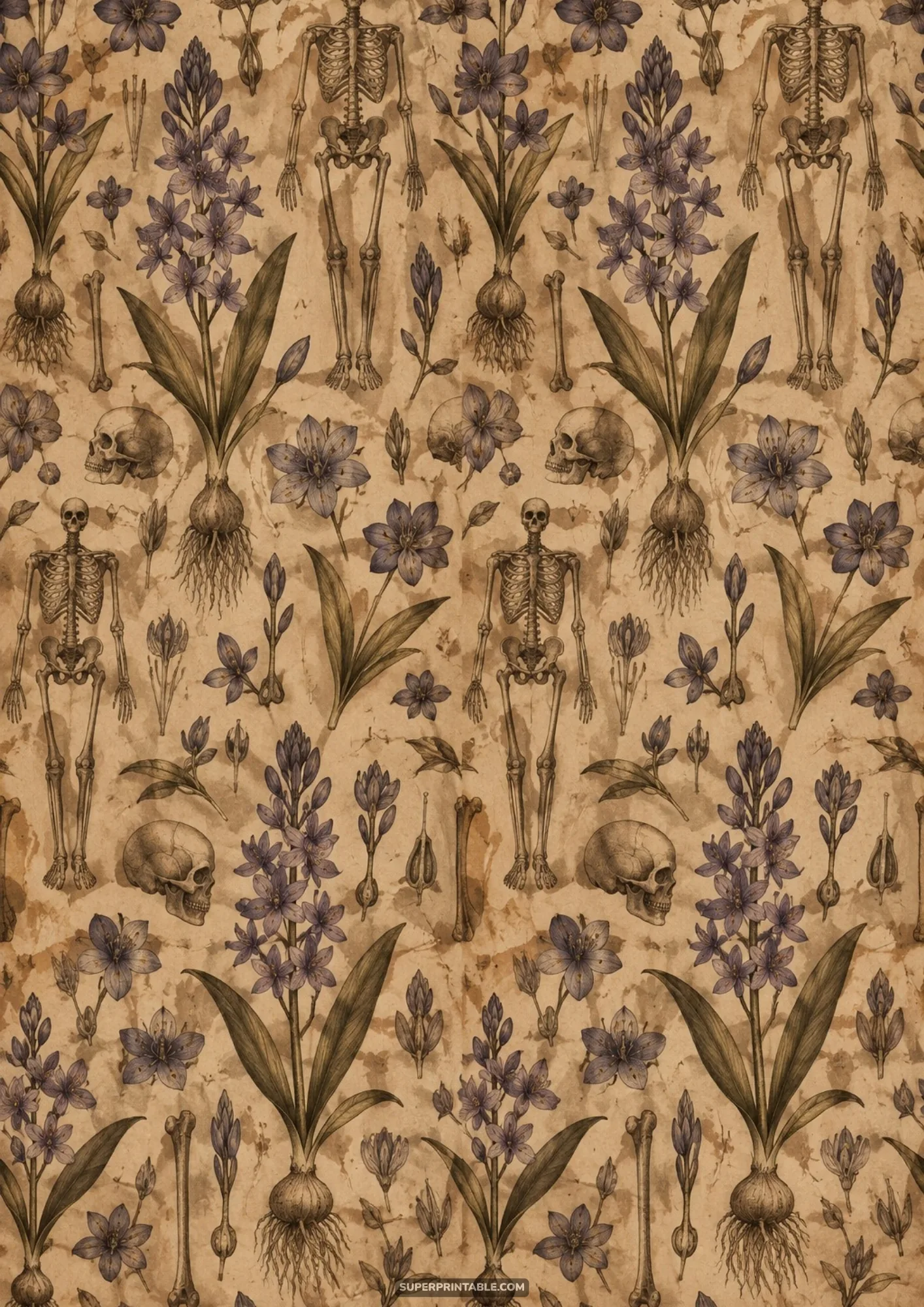Antique botanical pattern of detailed human skeletons, skulls, bones, and flowering plants on parchment