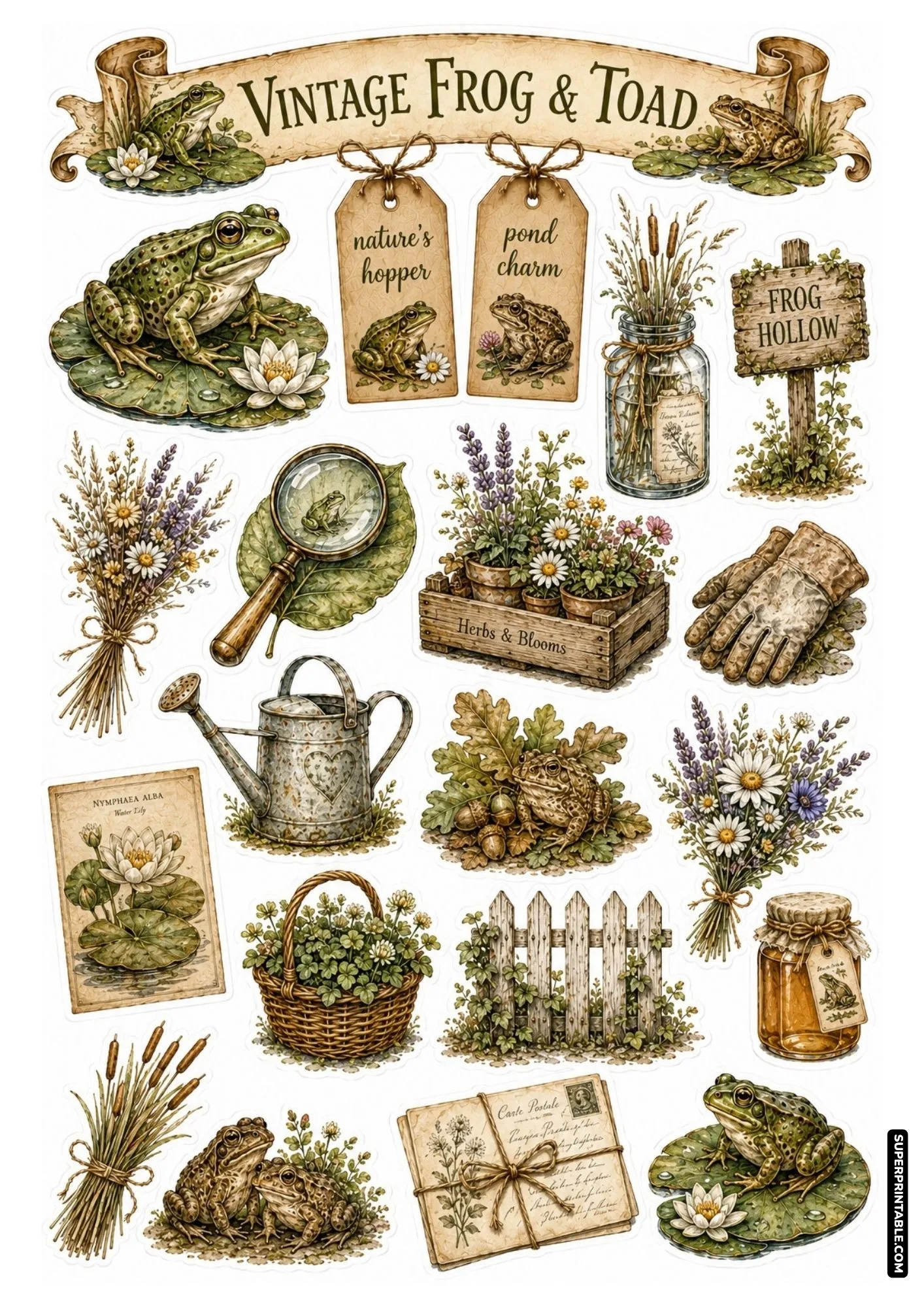 Vintage frog and toad sticker sheet with detailed botanical illustrations, magnifying glass, herb crate, and water lily.