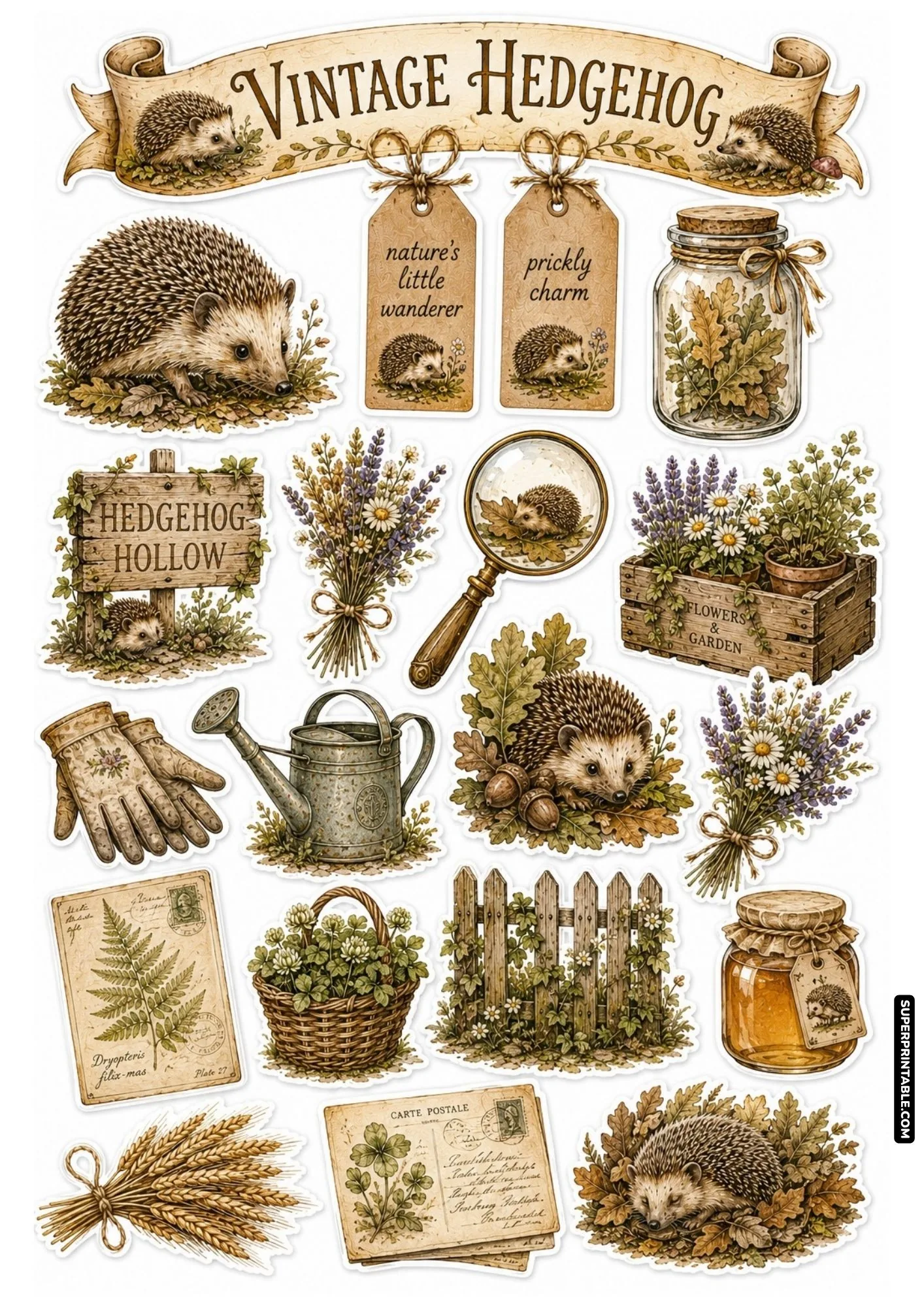 Vintage botanical hedgehog printable stickers with antique postcards, magnifying glass, oak leaves, and fern prints.